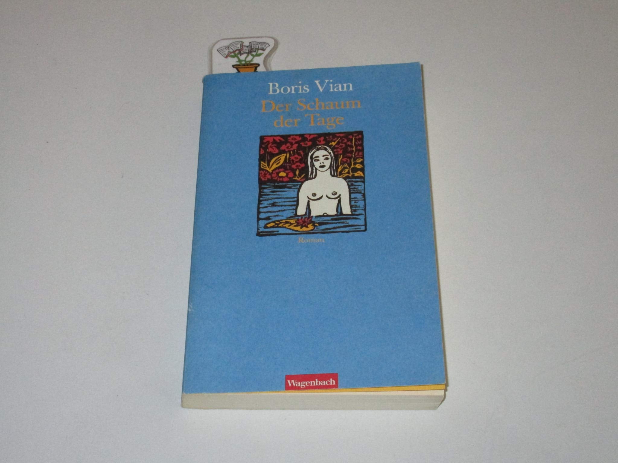Der Schaum der Tage Contemporary literature
