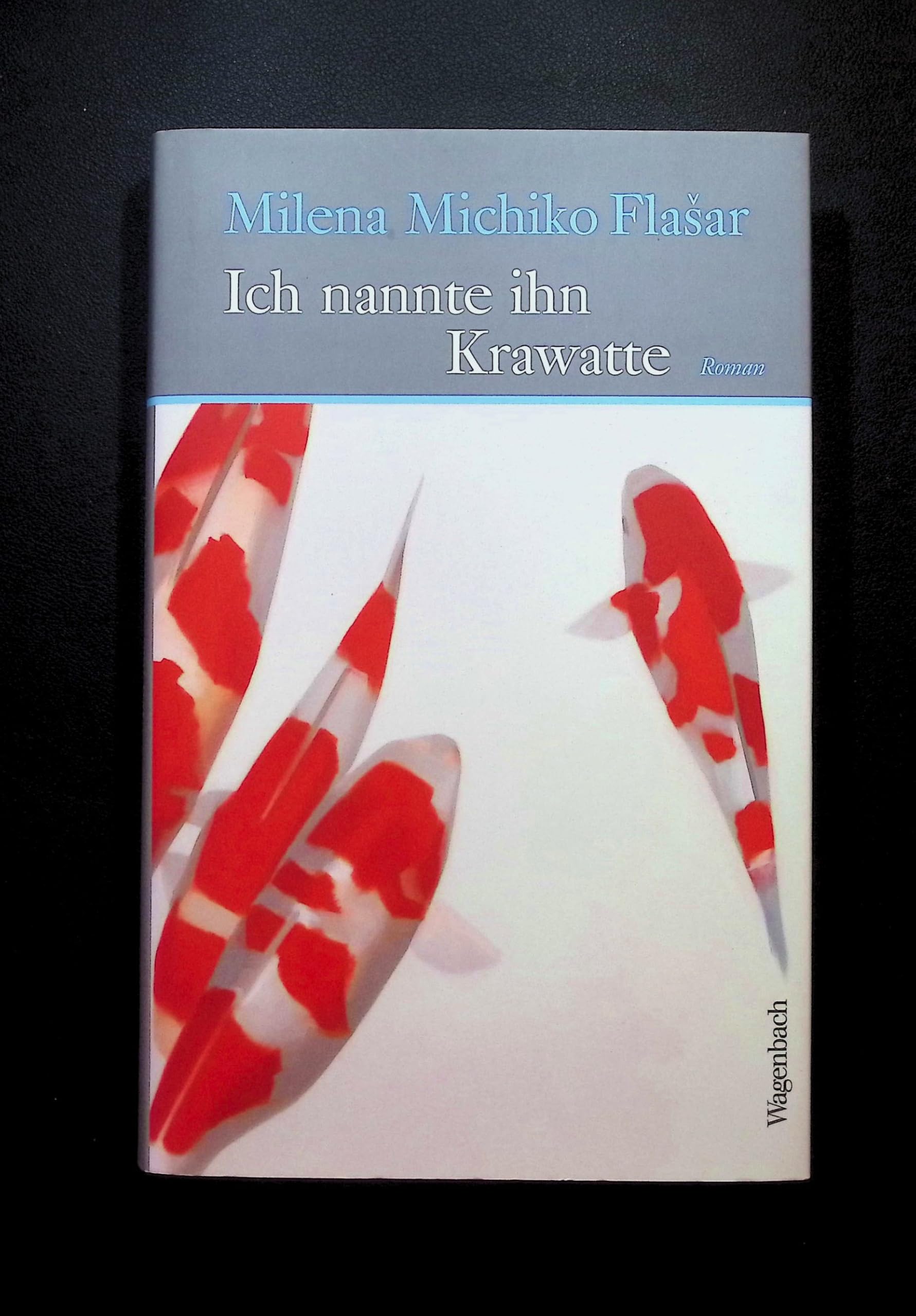 Ich nannte ihn Krawatte: Roman (Quartbuch) Contemporary literature