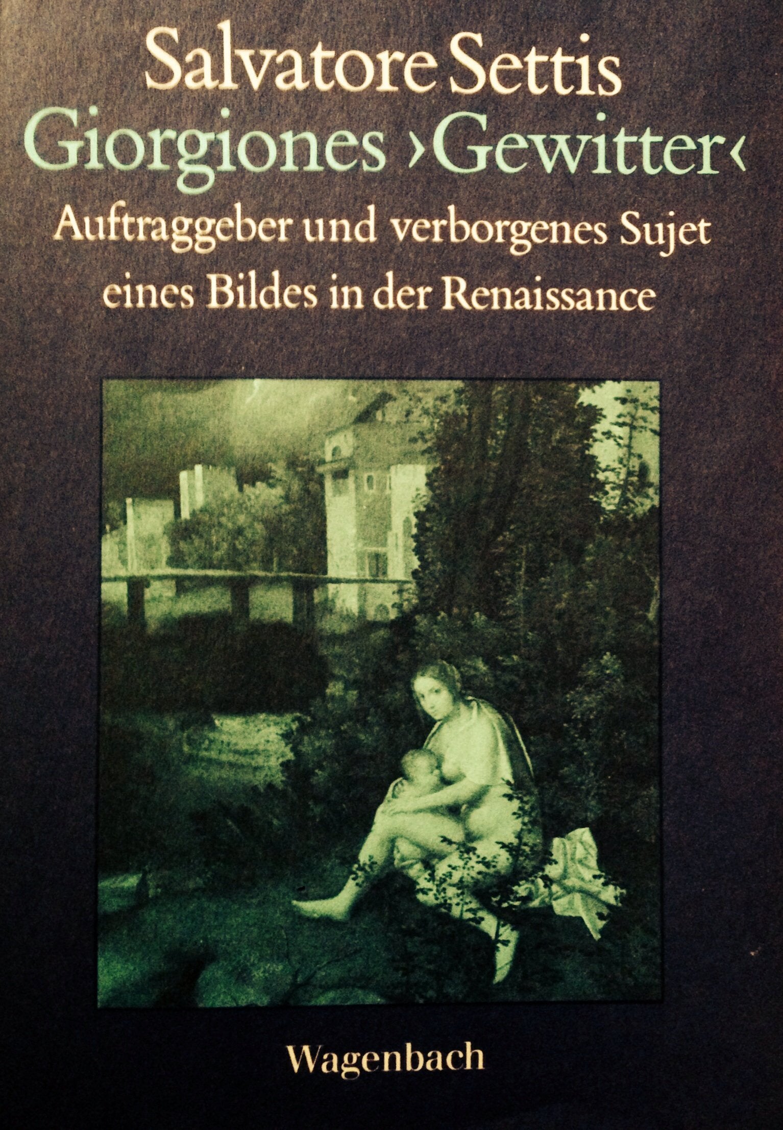 Giorgiones Gewitter. Auftraggeber und verborgenes Sujet eines Bides in der Renaissance Film, Art & Culture