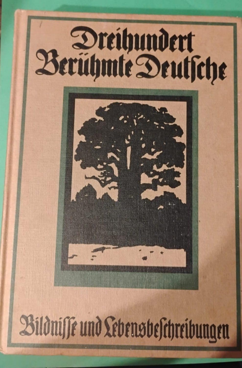 Dreihundert Berühmte Deutsche. Bildnisse und Lebensbeschreibungen Books