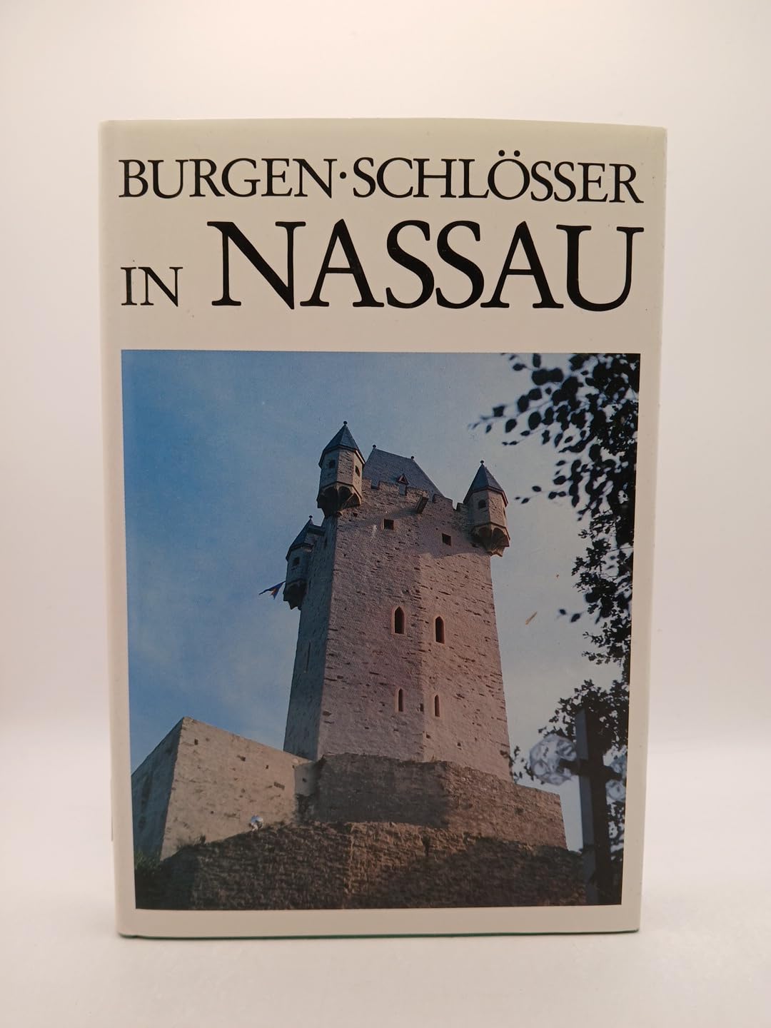 Burgen und Schlösser in Nassau: Ein Handbuch Film, Art & Culture