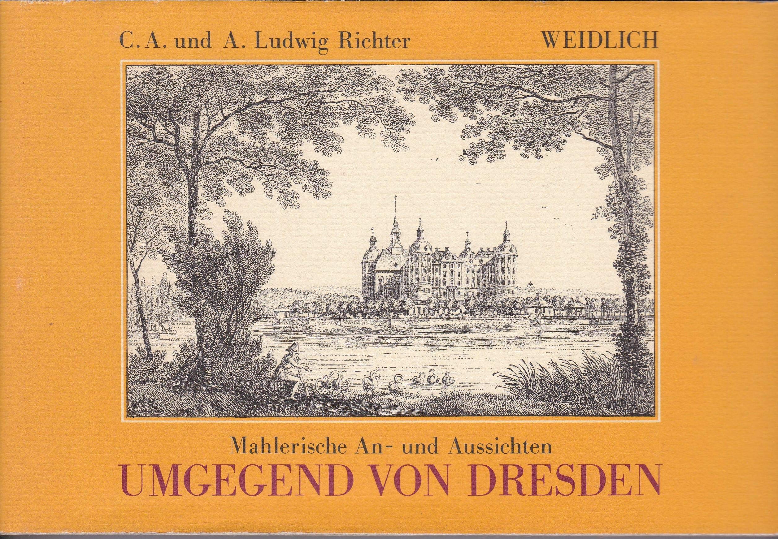Mahlerische An- und Aussichten der Umgegend von Dresden in einem Kreise von sechs bis acht Meilen book