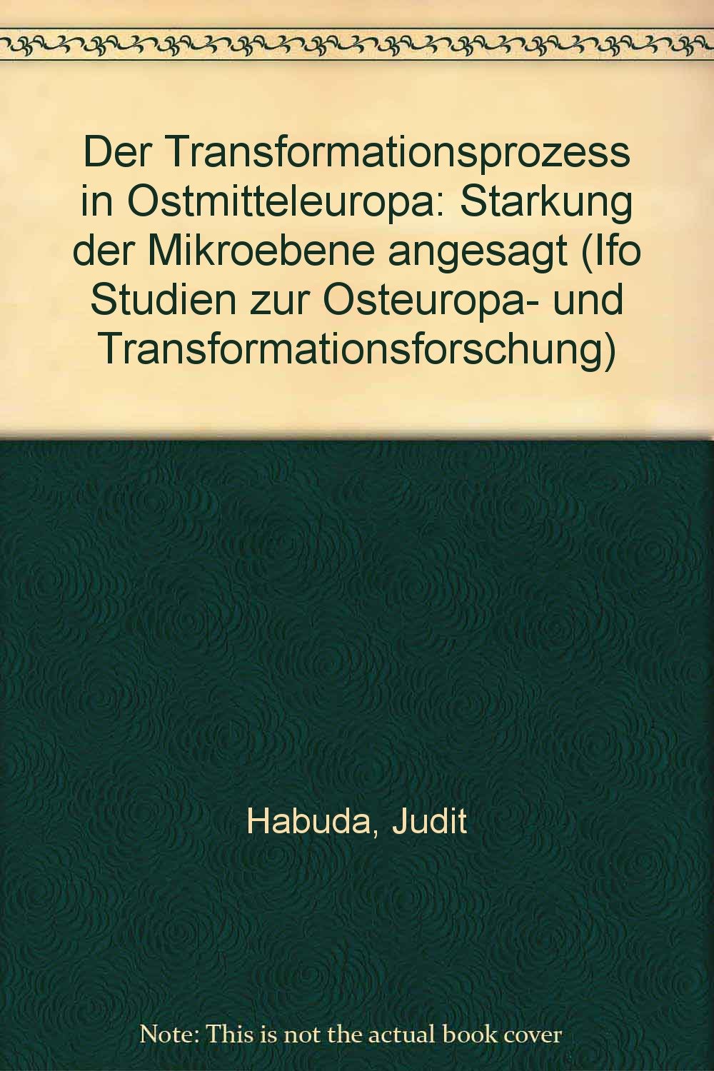 Der Transformationsprozess in Ostmitteleuropa. Stärkung der Mikroebene angesagt Books