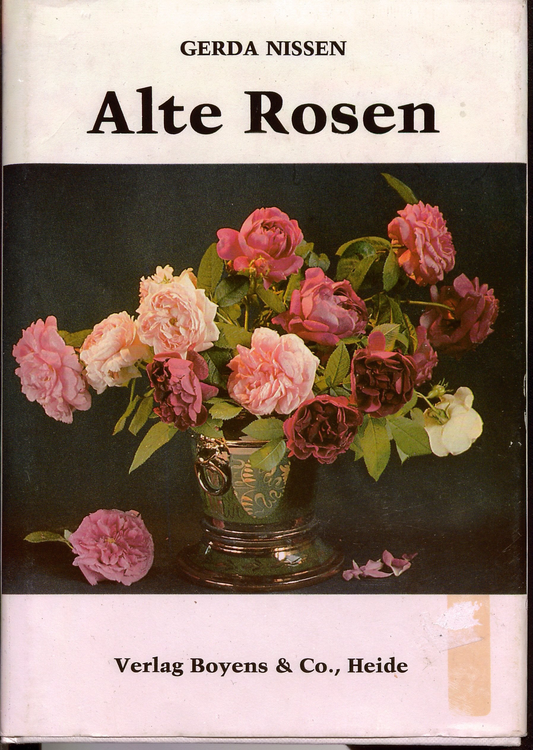 Alte Rosen: 37 bekannte und unbekannte Sorten aus Dithmarscher Gärten Garden & Plants