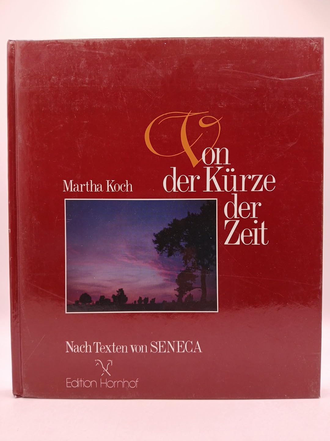 Von der Kürze der Zeit: Nach Texten von Seneca (Edition Hornhof) Lifestyle