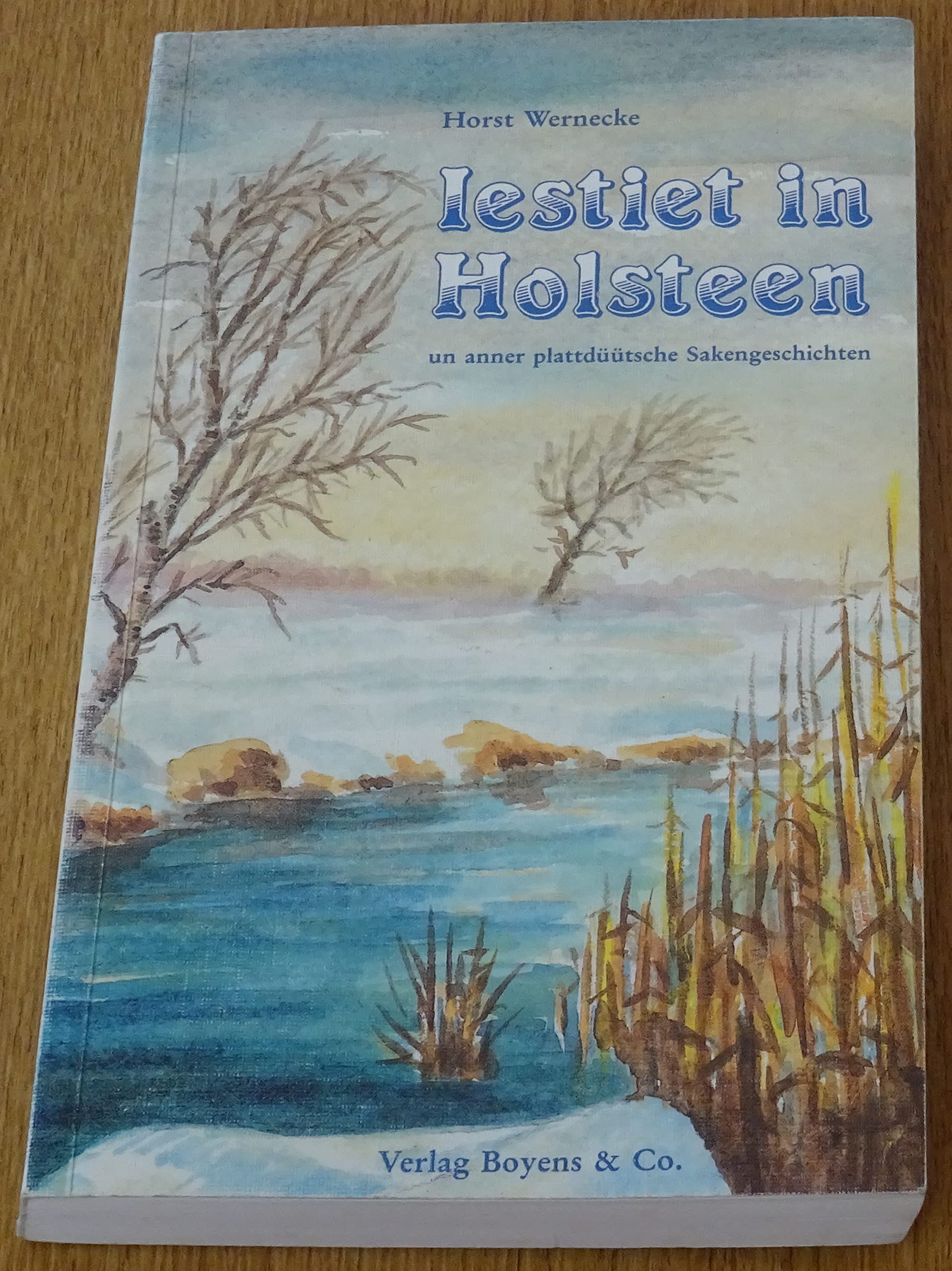 Iestiet in Holsteen. Un anner plattdüütsche Sakengeschichten - Wernecke, Horst book