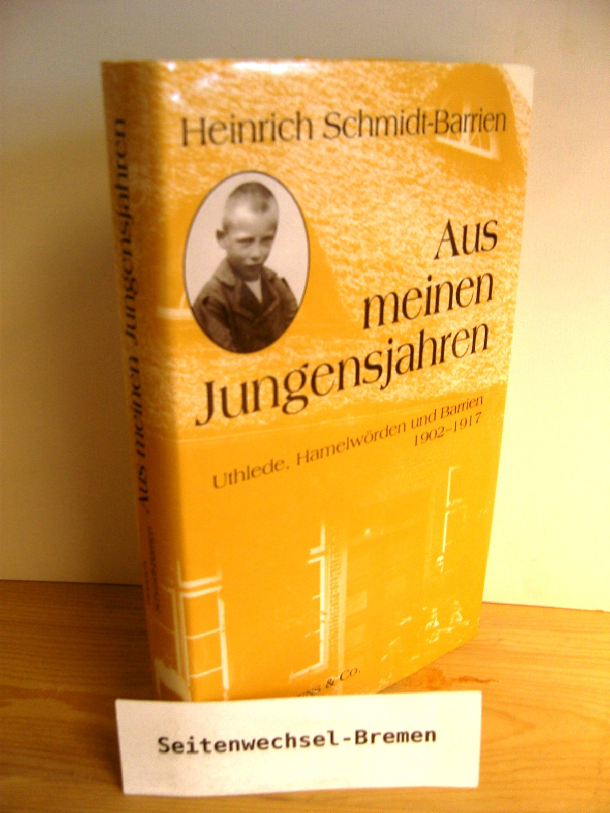 Aus meinen Jungensjahren: Uthlede, Hamelwörden und Barrien 1902-1917 Memories