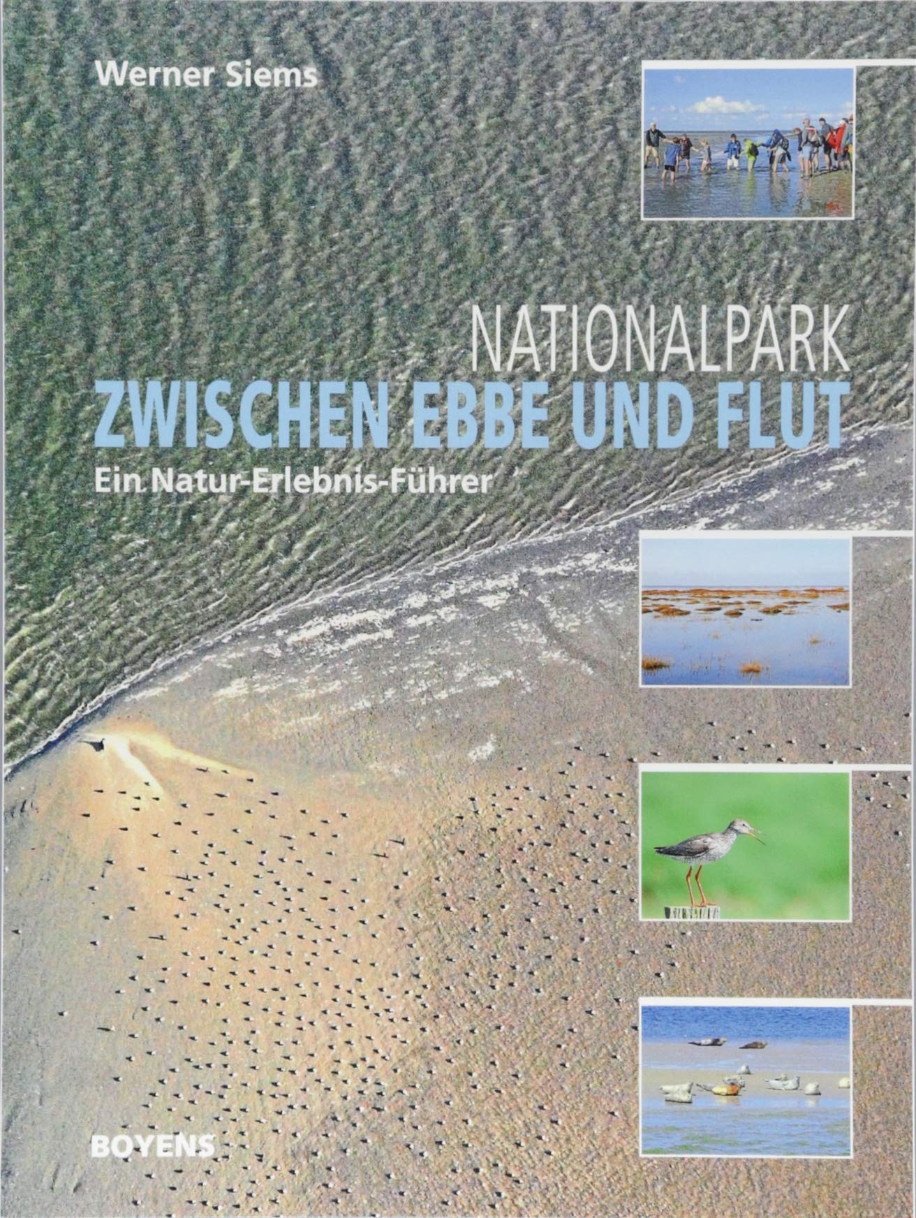 Nationalpark zwischen Ebbe und Flut: Ein Natur-Erlebnis-Führer Leisure, Home & Garden
