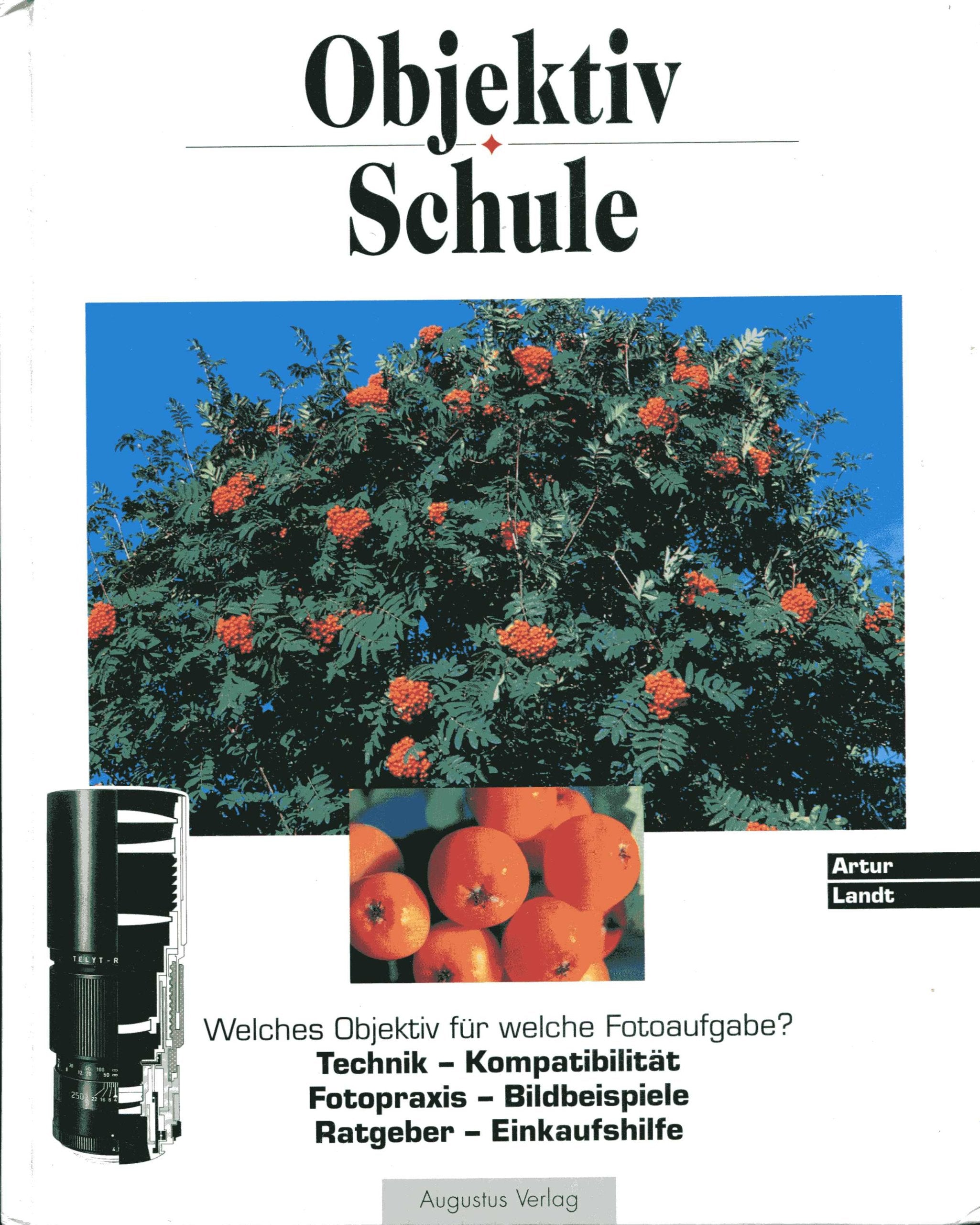 Objektivschule. Welches Objektiv für welche Fotoaufgabe? Books