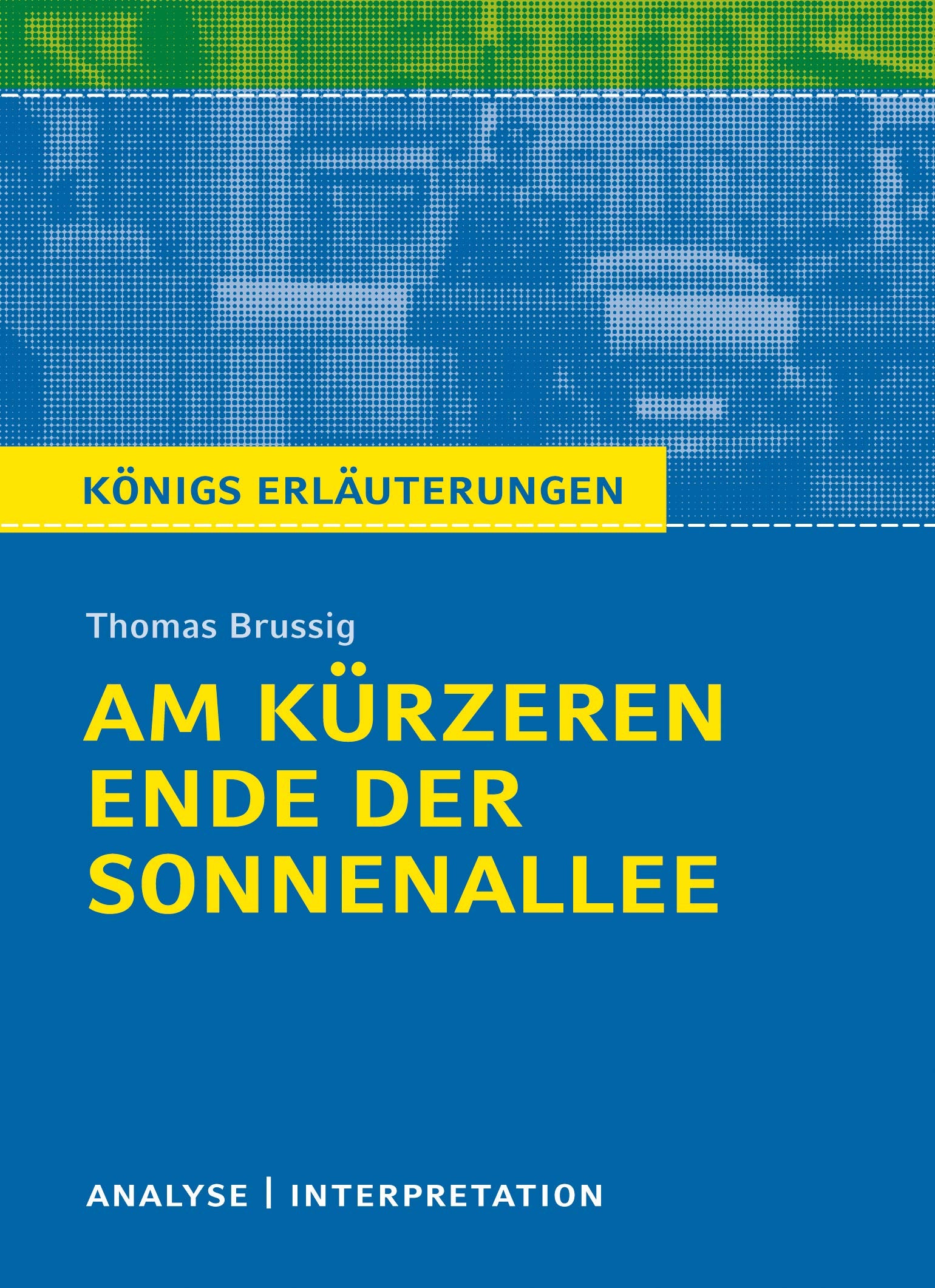 Am kürzeren Ende der Sonnenallee. Textanalyse und Interpretation zu Thomas Brussig Study Guides