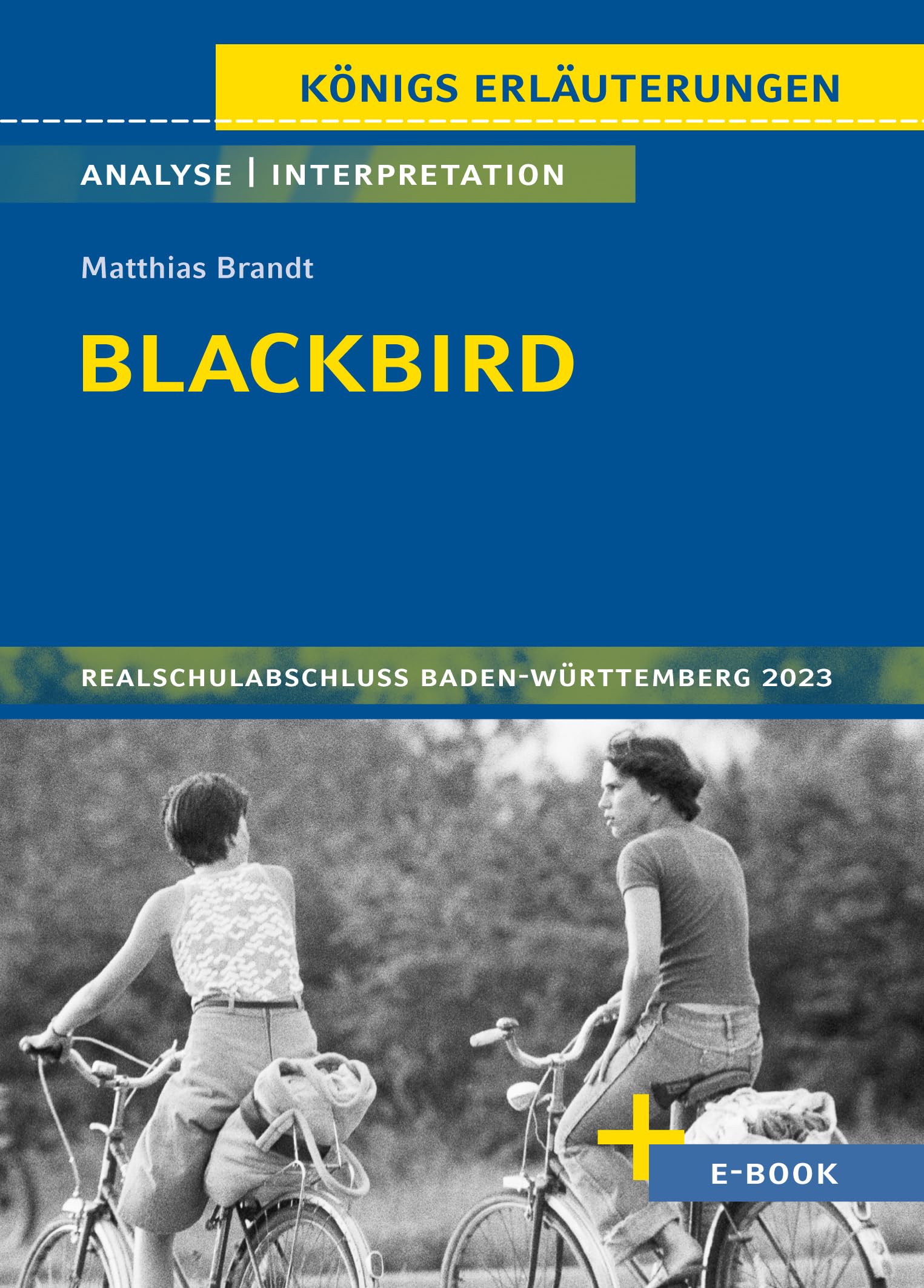 Blackbird - Textanalyse und Interpretation Study Guides