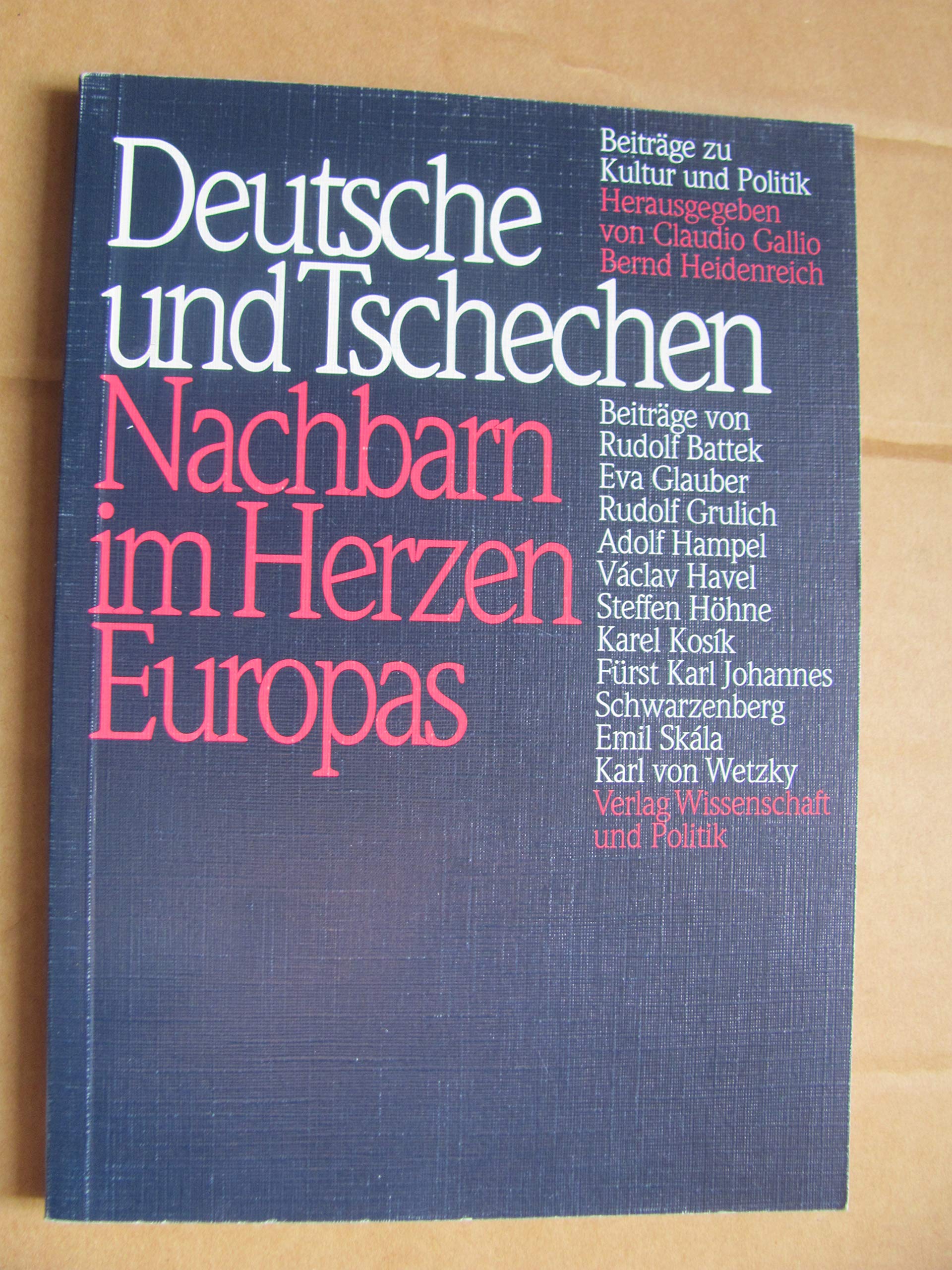 Deutsche und Tschechen, Nachbarn im Herzen Europas: Beiträge zu Kultur und Politik Professional & Reference Books