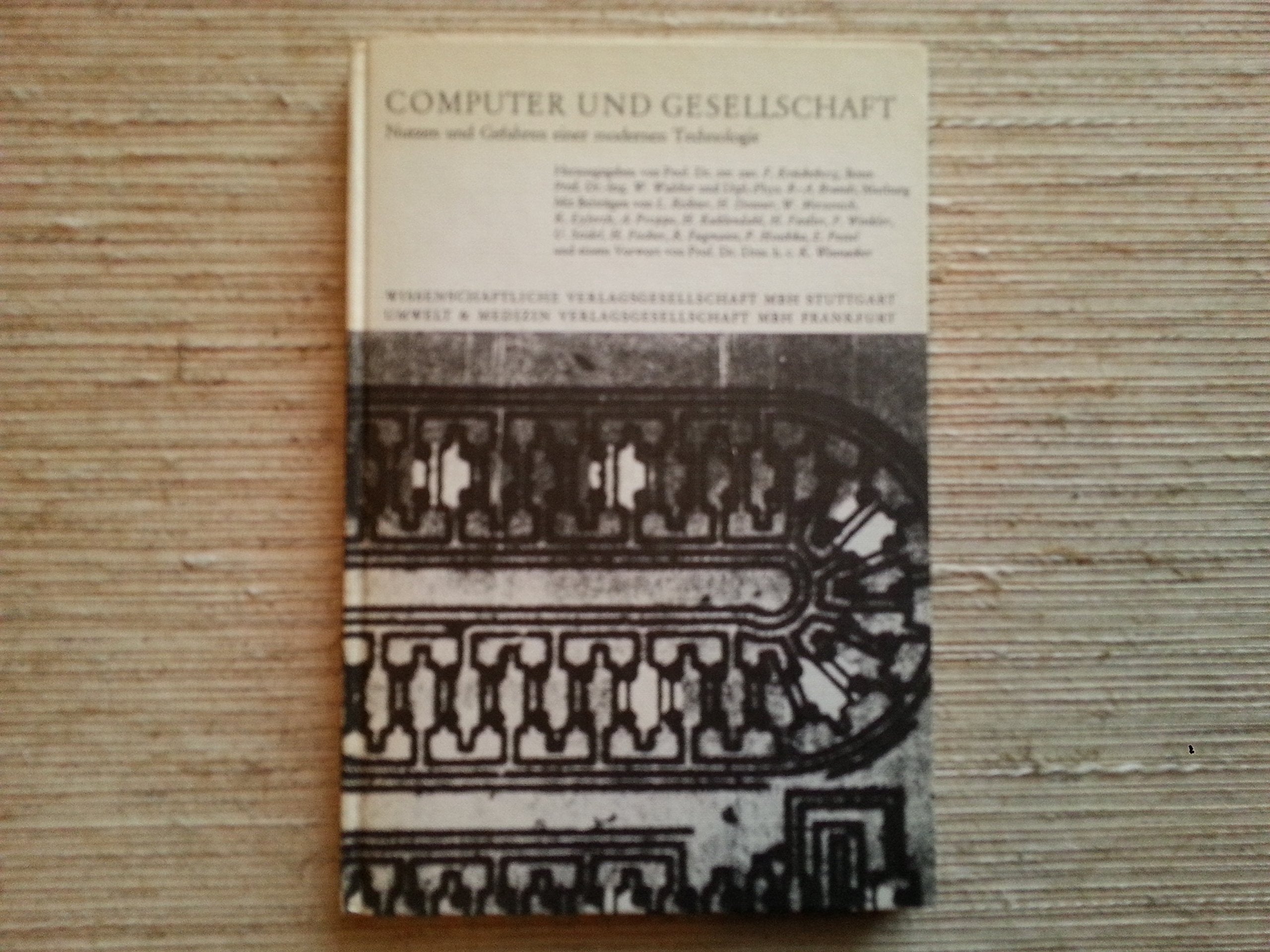 Computer und Gesellschaft: Nutzen u. Gefahren e. modernen Technologie Books