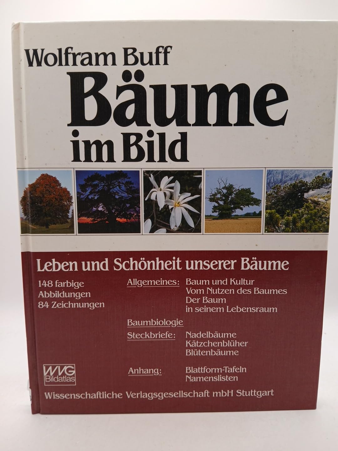 Bäume im Bild. Leben und Schönheit unserer Bäume Natural Sciences