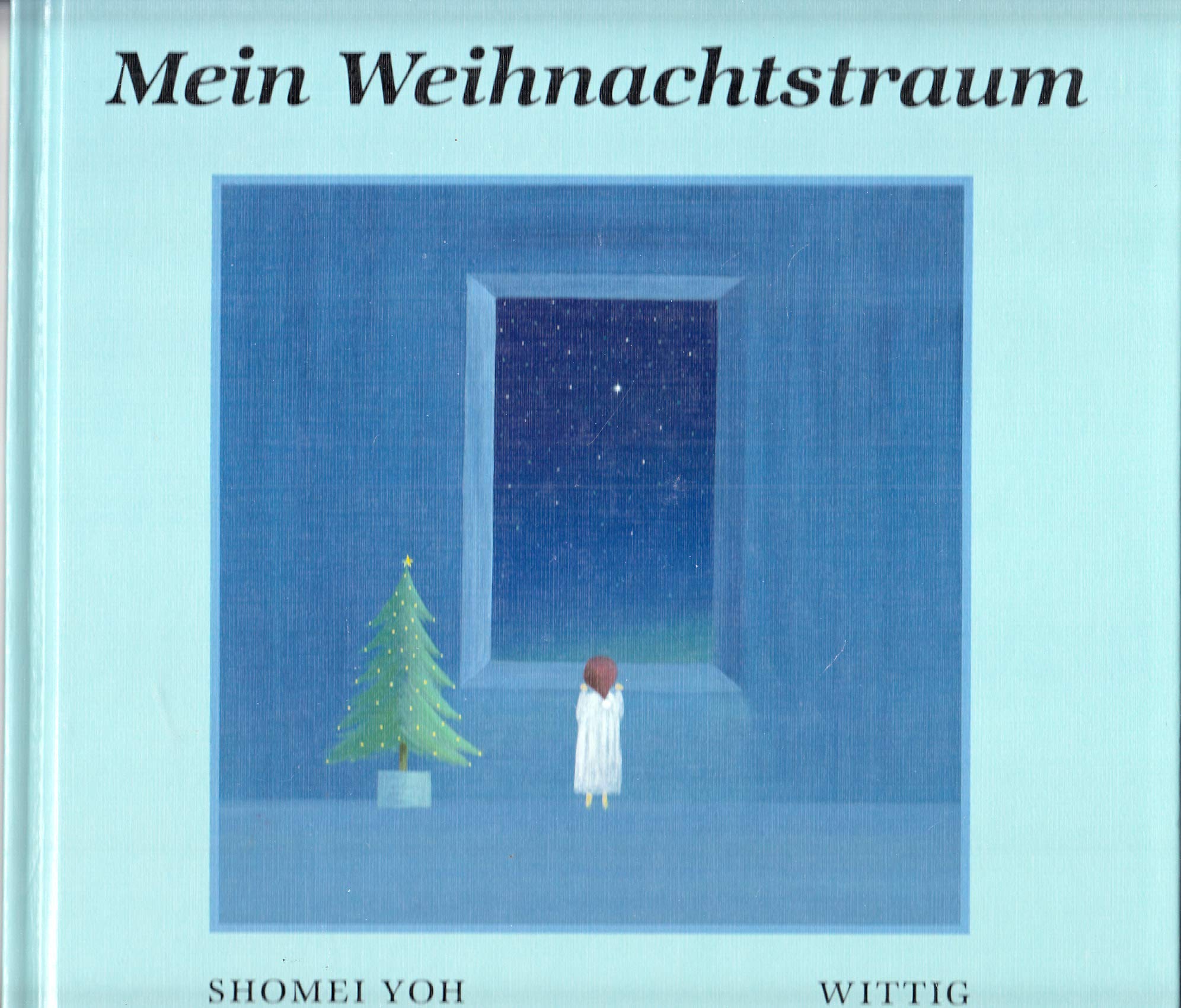Mein Weihnachtstraum Books