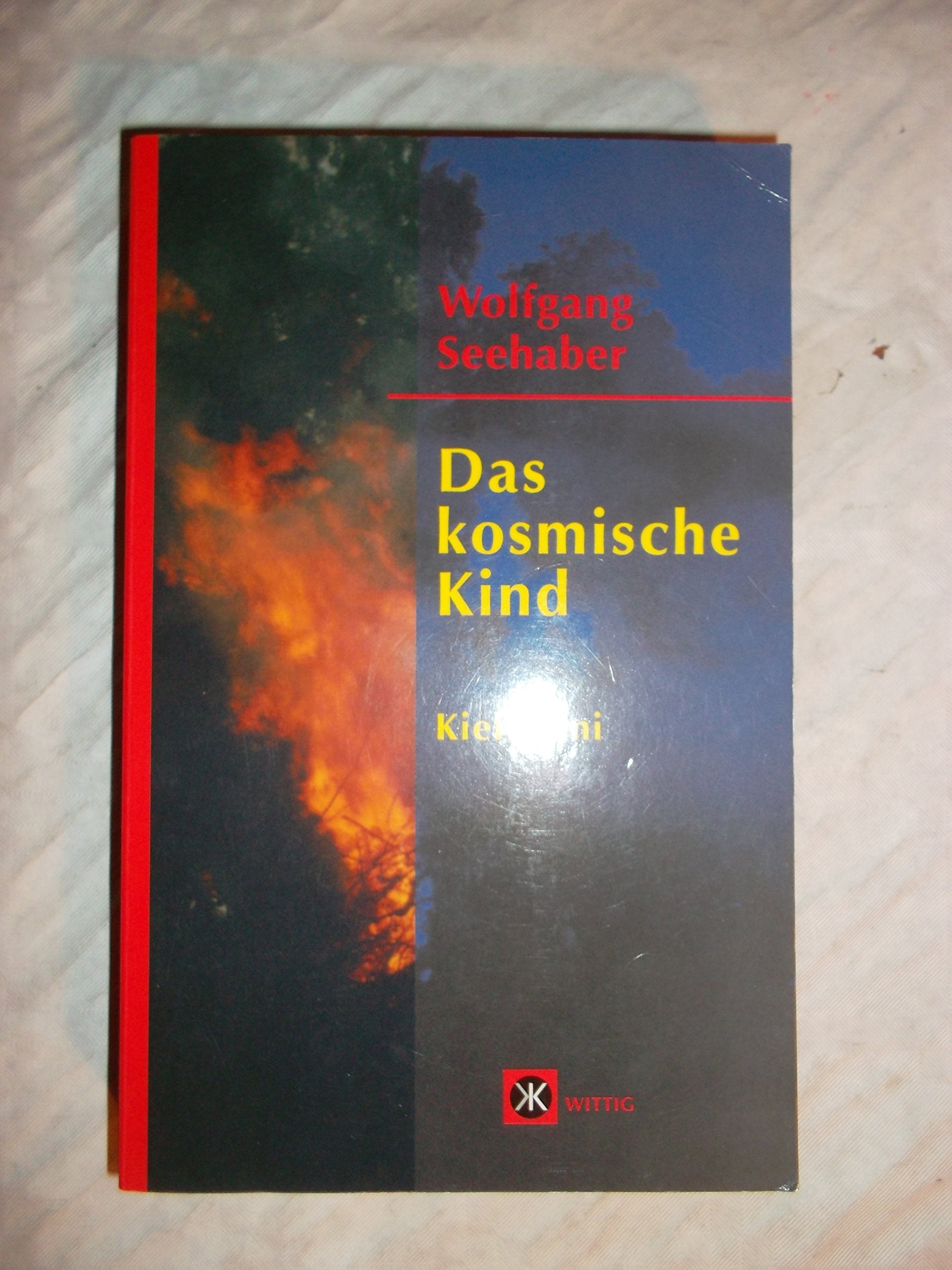 Product Image: Das kosmische Kind