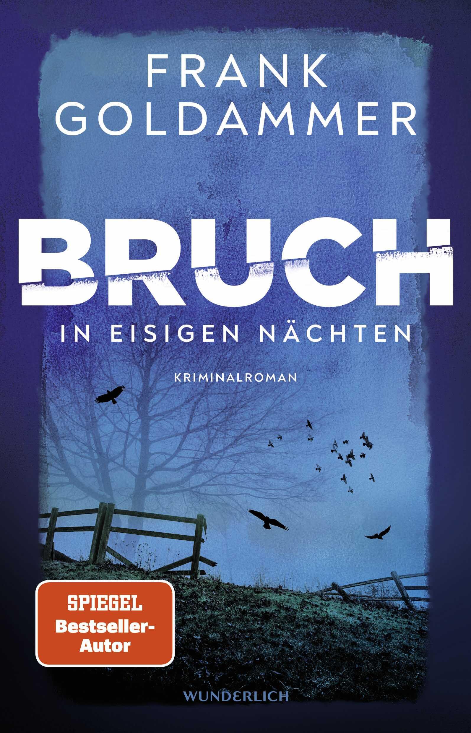 Product Image: Bruch: In eisigen Nächten