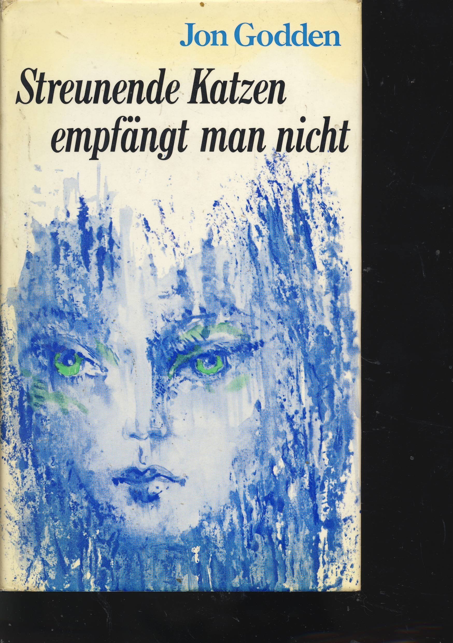 Streunende Katzen empfängt man nicht Books
