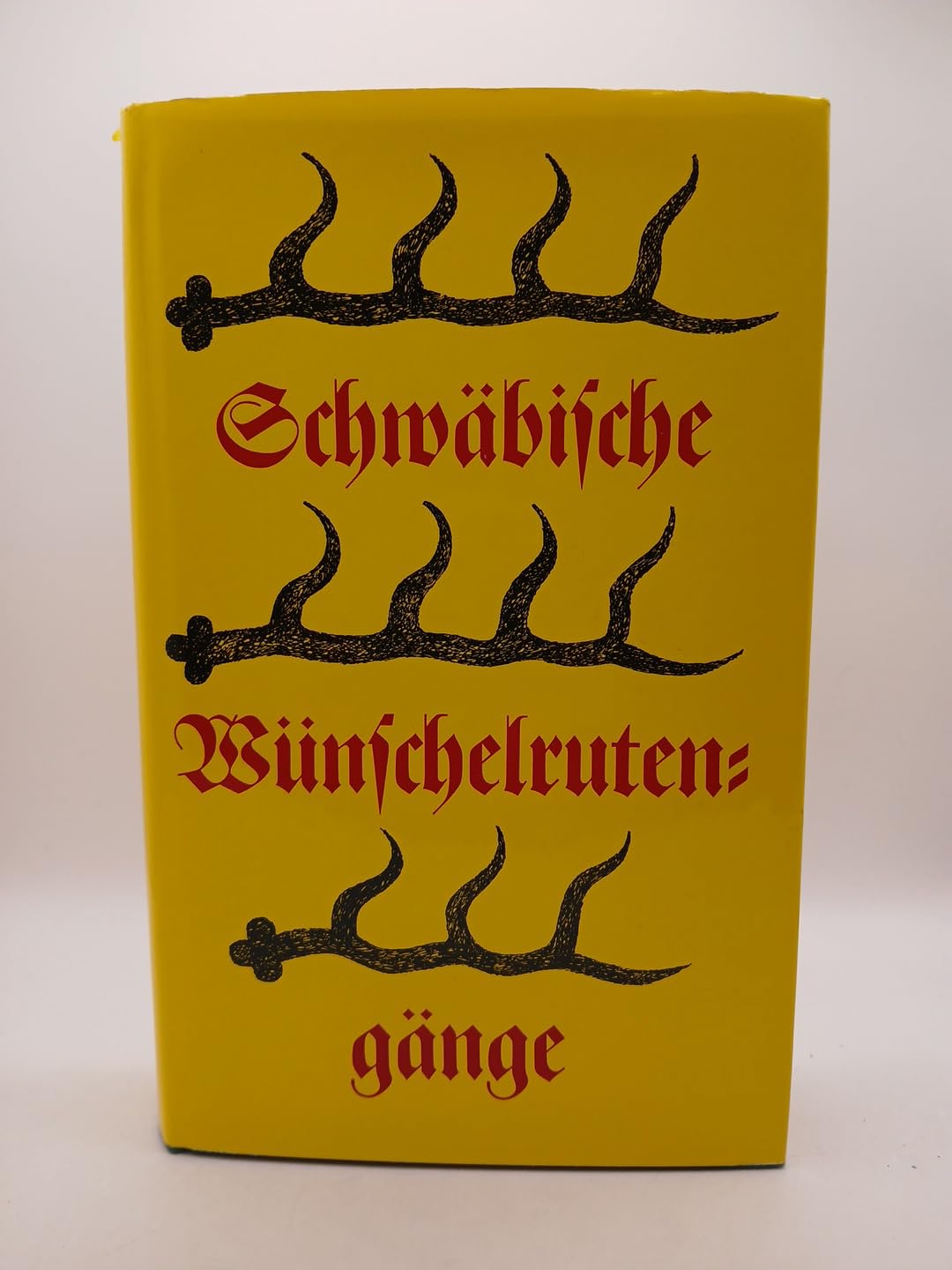 Schwäbische Wünschelrutengänge Books