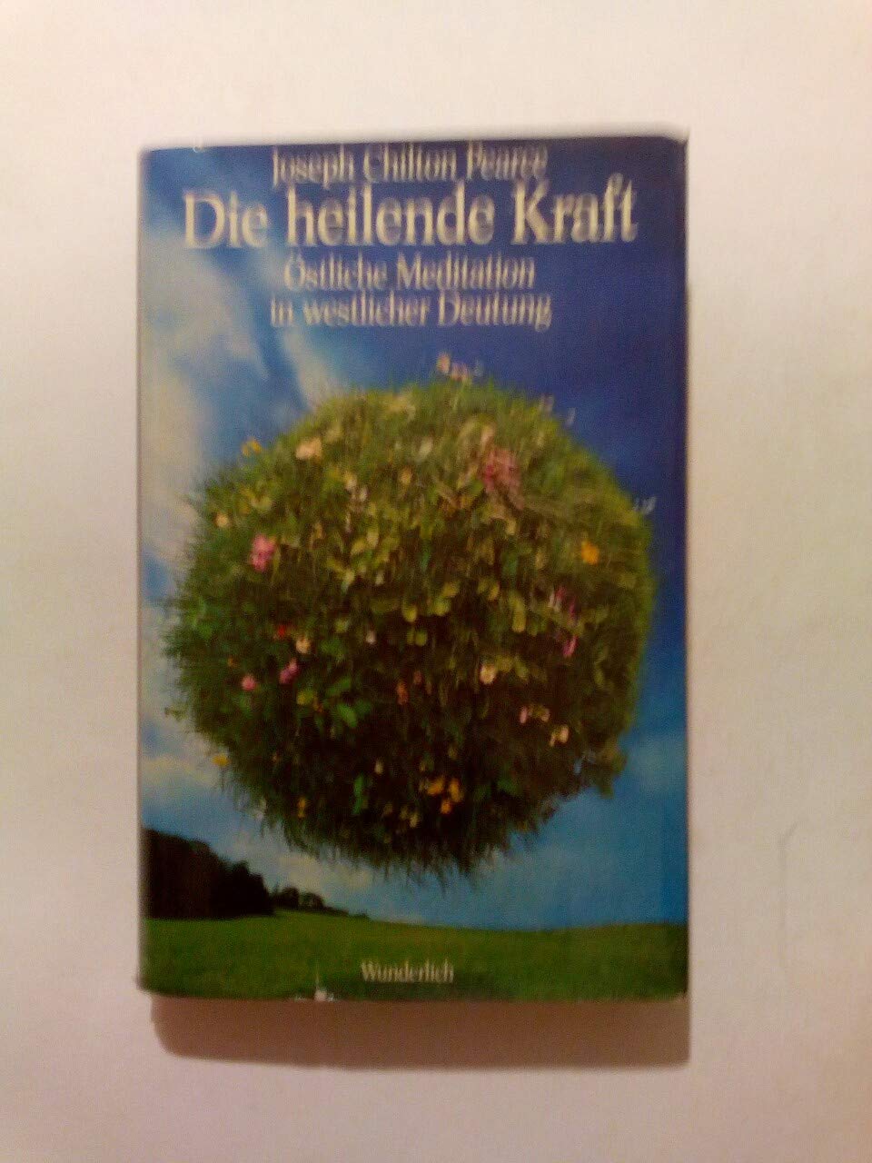 Die heilende Kraft: Östliche Meditation in westlicher Deutung Lifestyle