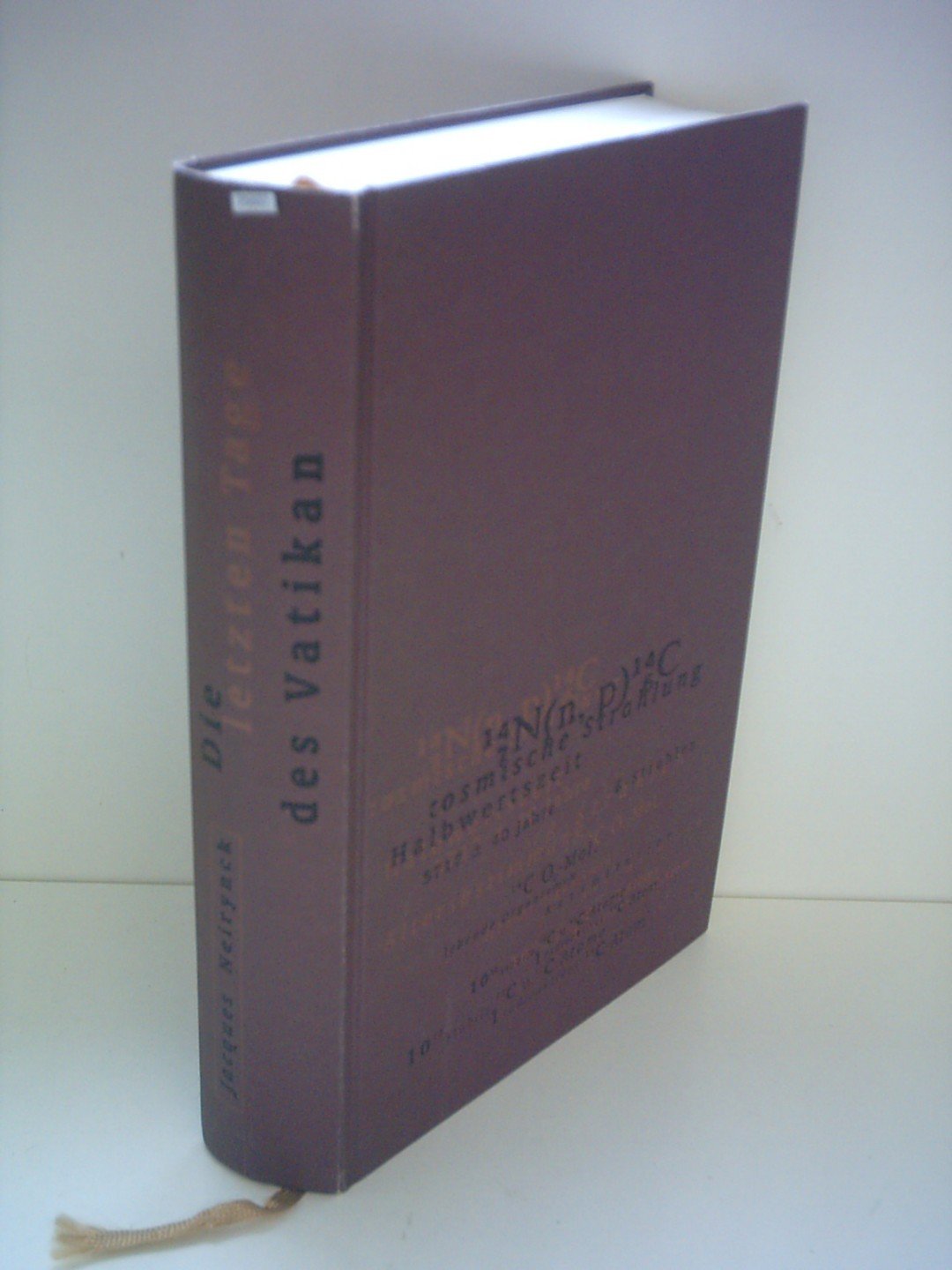 Die letzten Tage des Vatikan Contemporary literature
