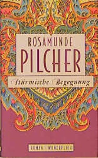 Stürmische Begegnung: Roman Contemporary literature