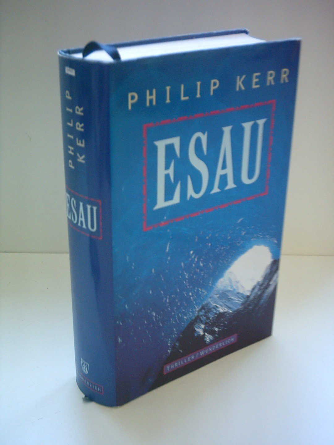 Esau Contemporary literature Books