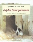 Auf den Hund gekommen: Zehn tierische Geschichten Essays & Short Stories