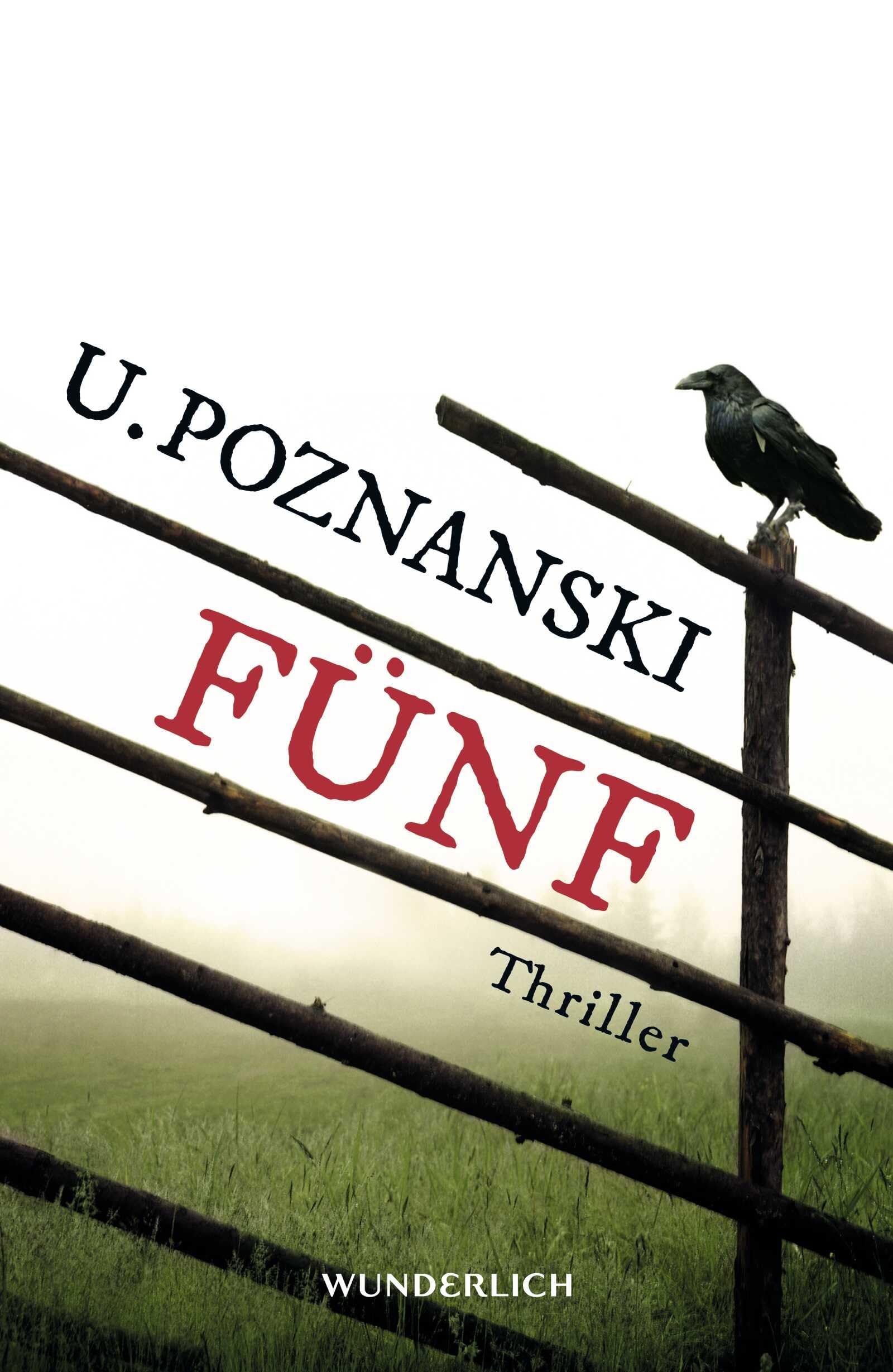 Fünf: Salzburg-Thriller (Kaspary & Wenninger ermitteln, Band 1) Contemporary literature