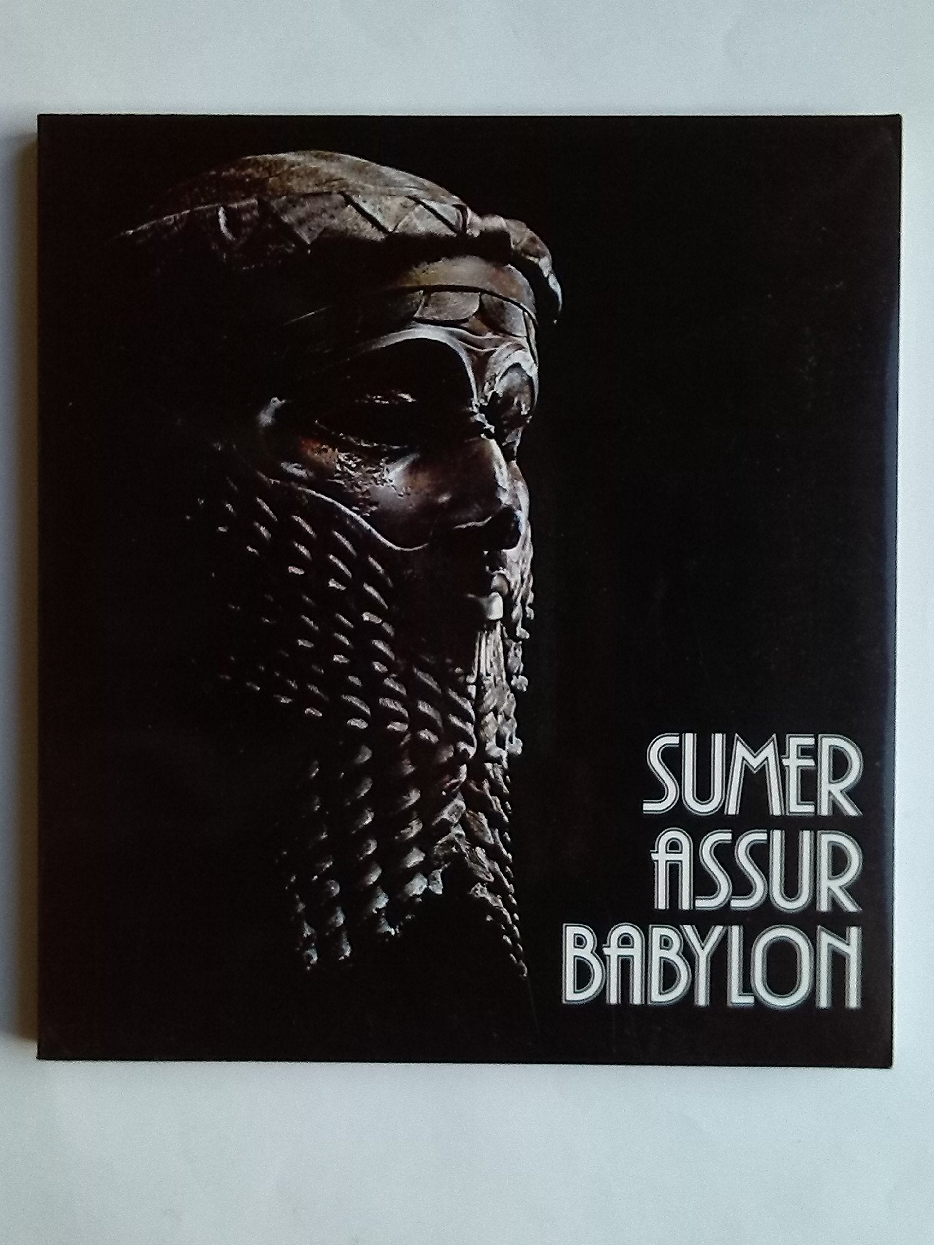 Sumer Assur Babylon. 7000 Jahre Kunst und Kultur zwischen Euphrat und Tigris. Books