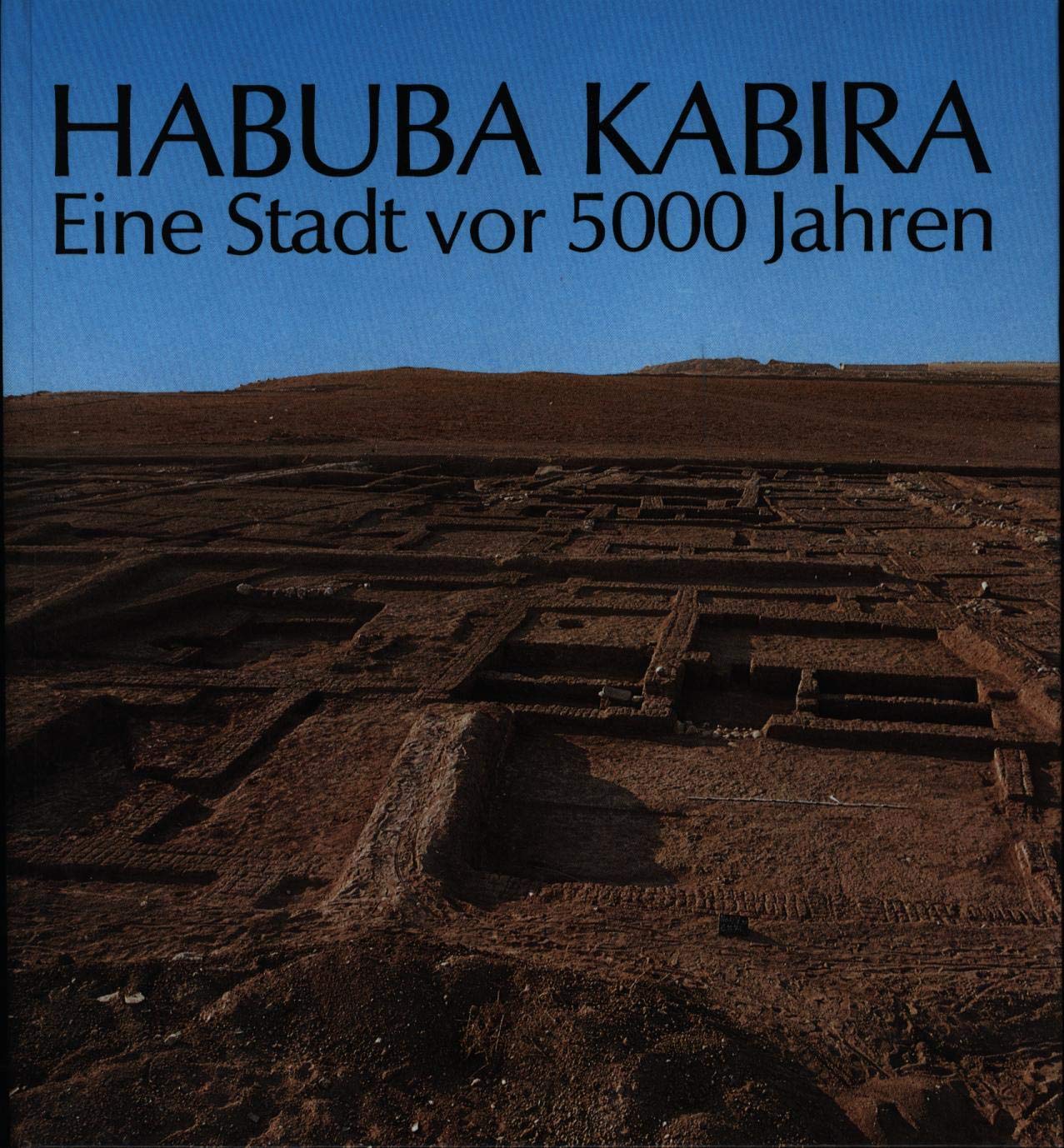 Habuba Kabira. Eine Stadt vor 5000 Jahren. Ausgrabungen der Deutschen Orient-Gesellschaft am Euphrat Books