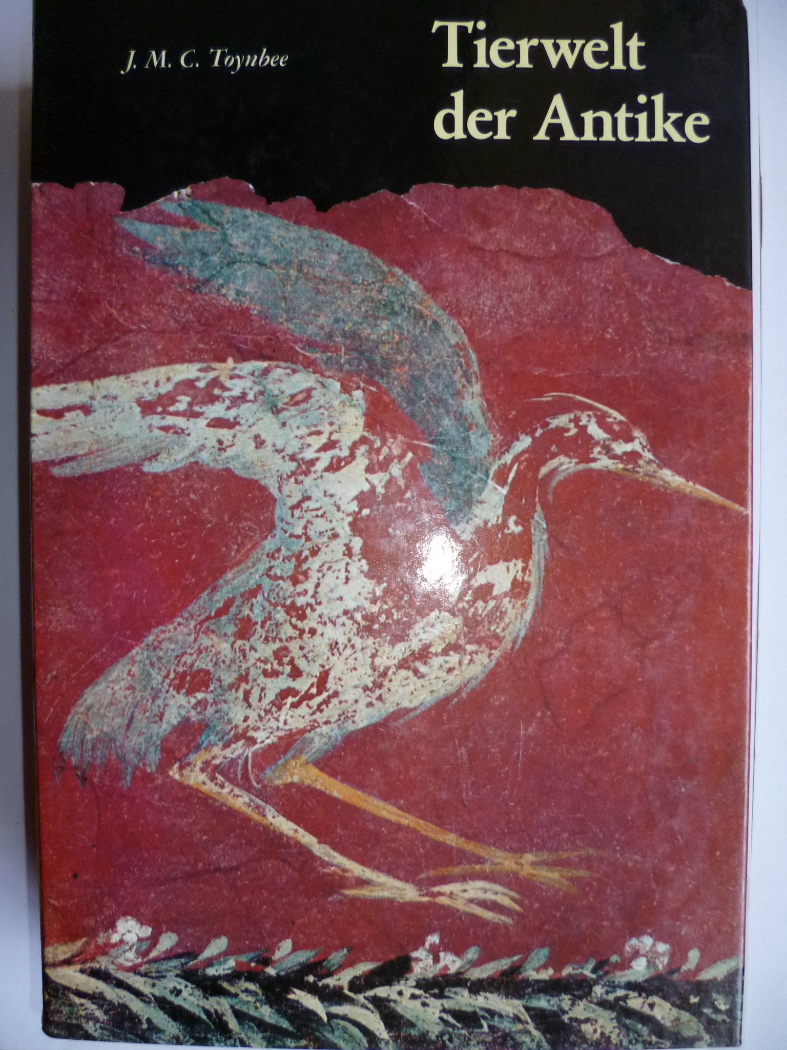 Tierwelt der Antike: Bestiarium romanum (Kulturgeschichte der Antiken Welt) Natural Sciences