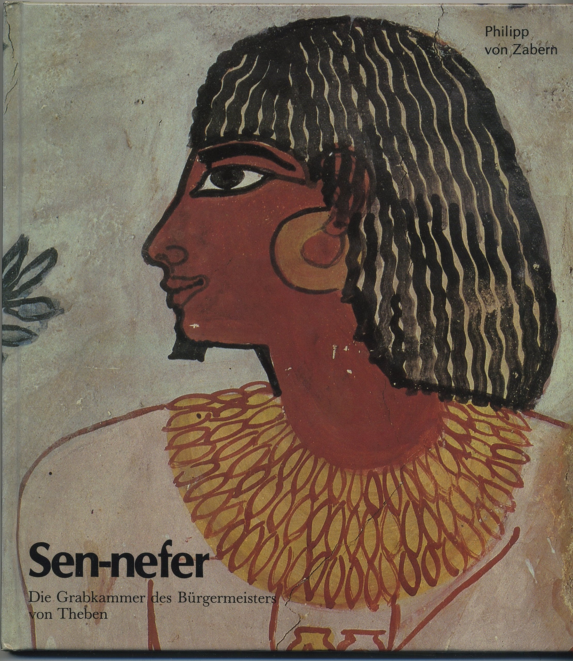 Sen-nefer. Die Grabkammer des Bürgermeisters von Theben Books