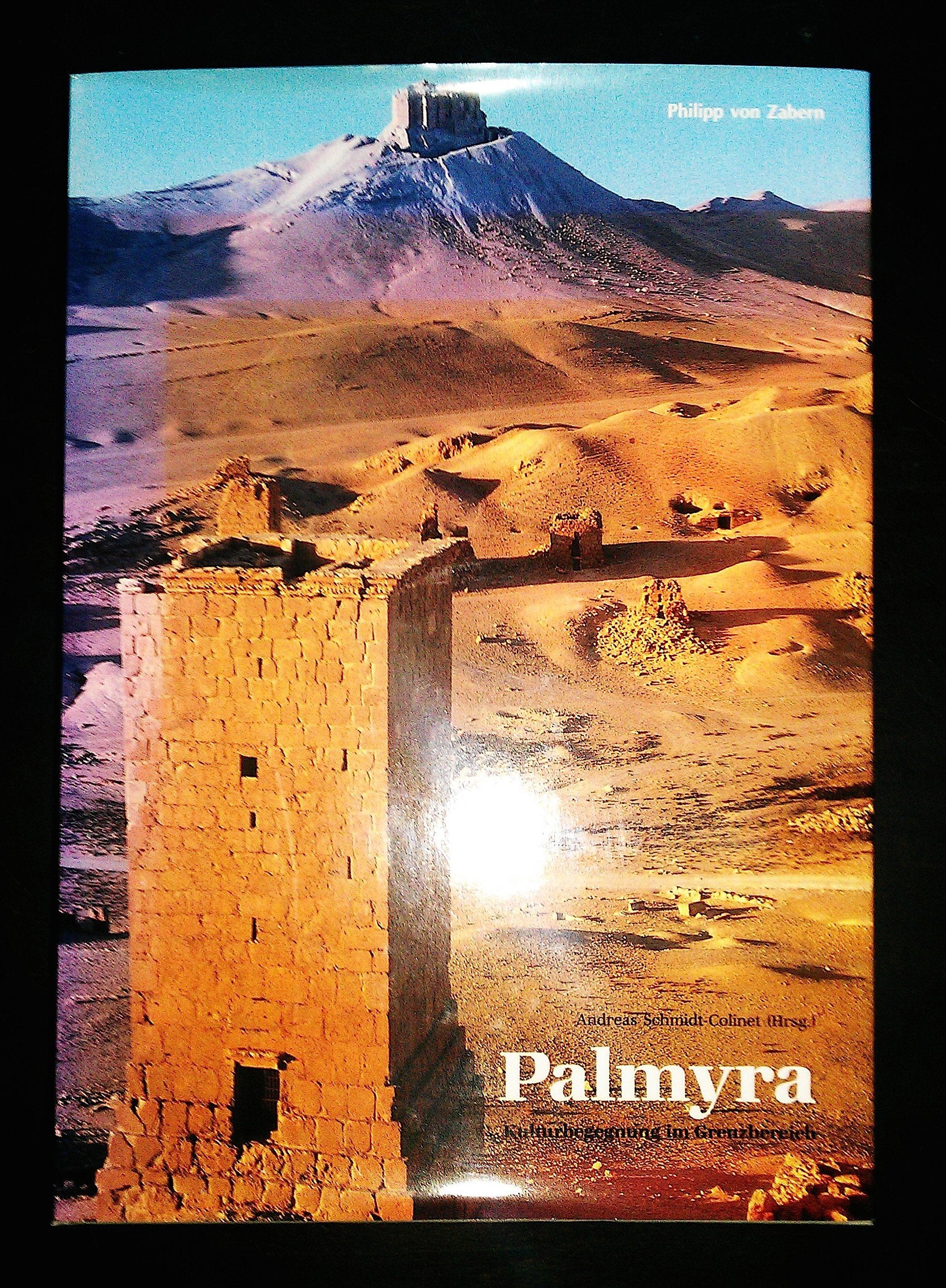 Palmyra: Kulturbegegnung im Grenzbereich (Zaberns Bildbände zur Archäologie) Natural Sciences