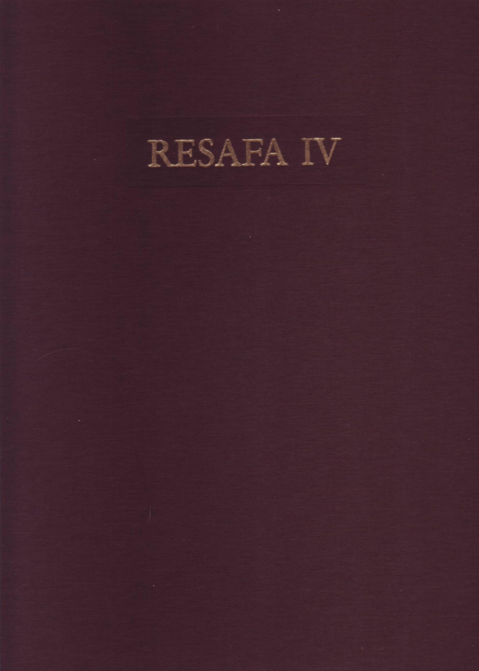 Die Grosse Moschee von Resafa - Rusafat Hisam Natural Sciences