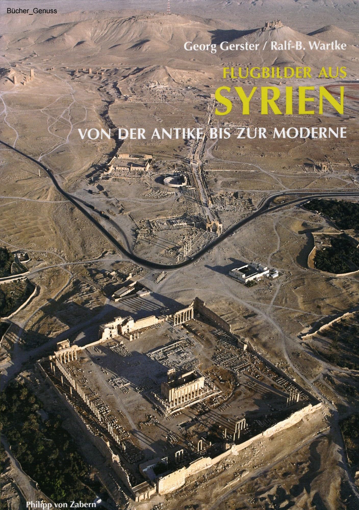 Flugbilder aus Syrien: Von der Antike bis zur Moderne (Zaberns Bildbände zur Archäologie) Natural Sciences