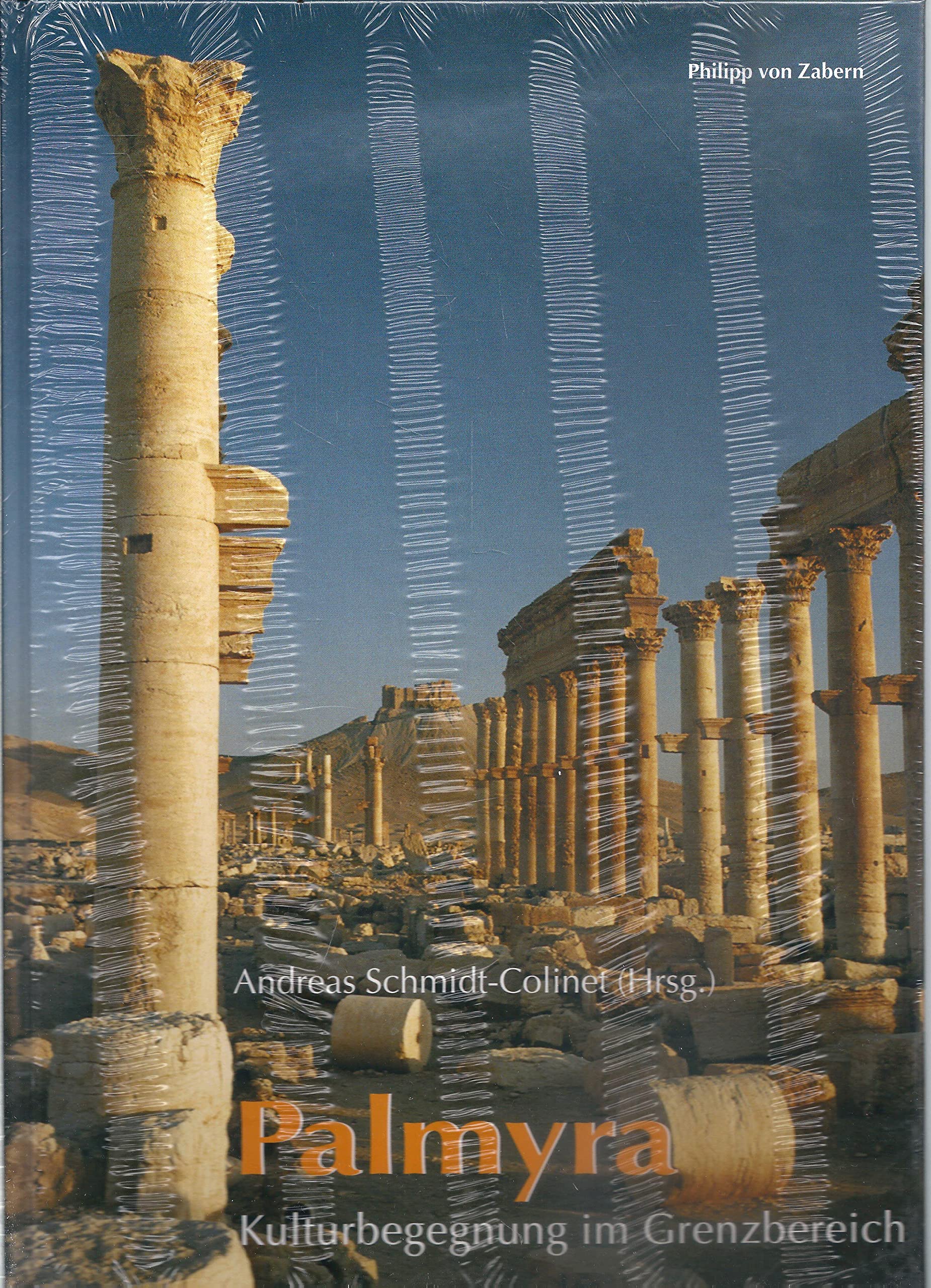 Palmyra: Kulturbegegnung im Grenzbereich (Zaberns Bildbände zur Archäologie) Natural Sciences