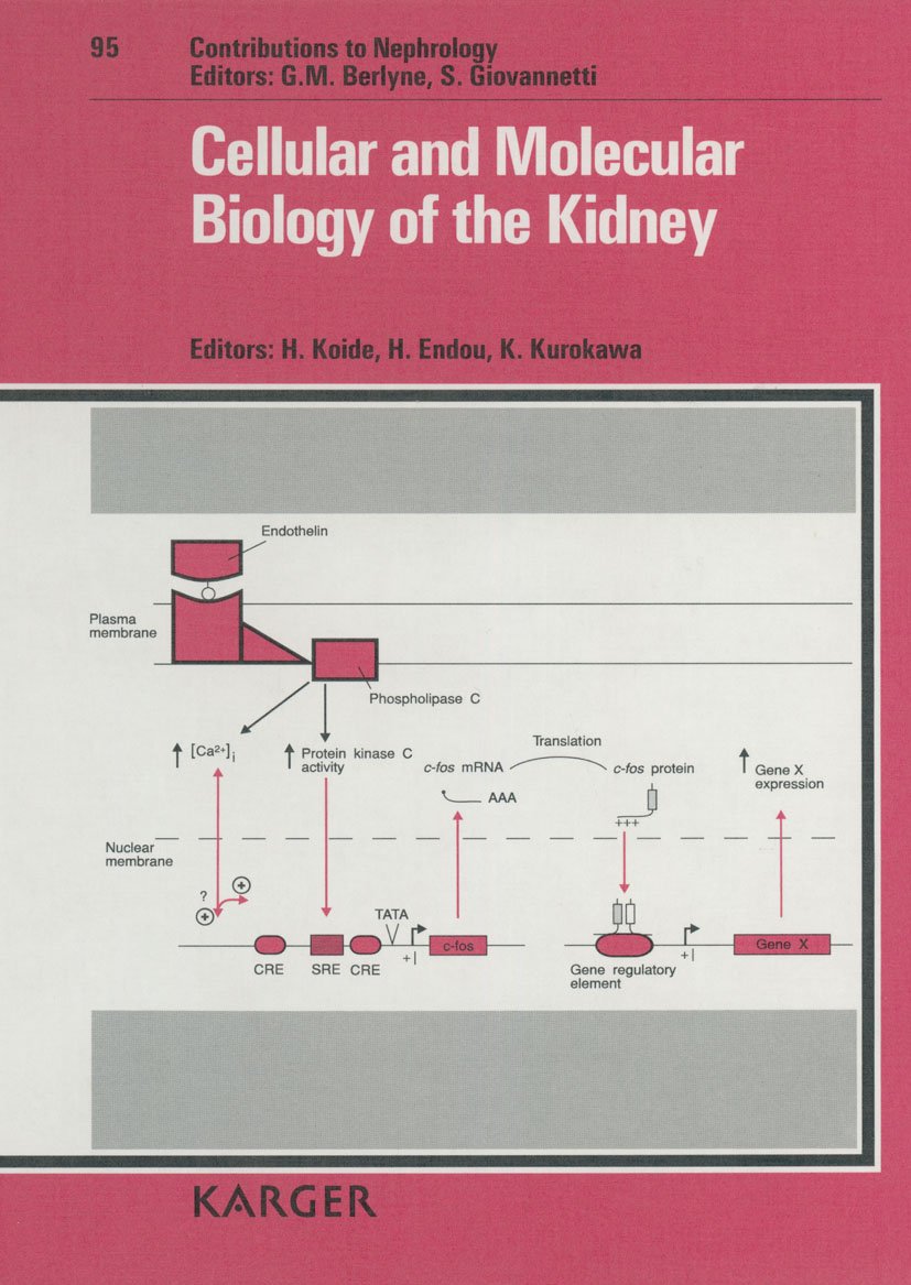 Contributions to Nephrology / Cellular and Molecular Biology of the Kidney: International Symposium on Cell Biology of Nephron Heterogeneity: Fine ... of Nephron Heterogeneity, Shizuoka 1990 Medicine