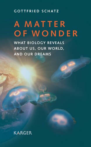 Product Image: A Matter of Wonder