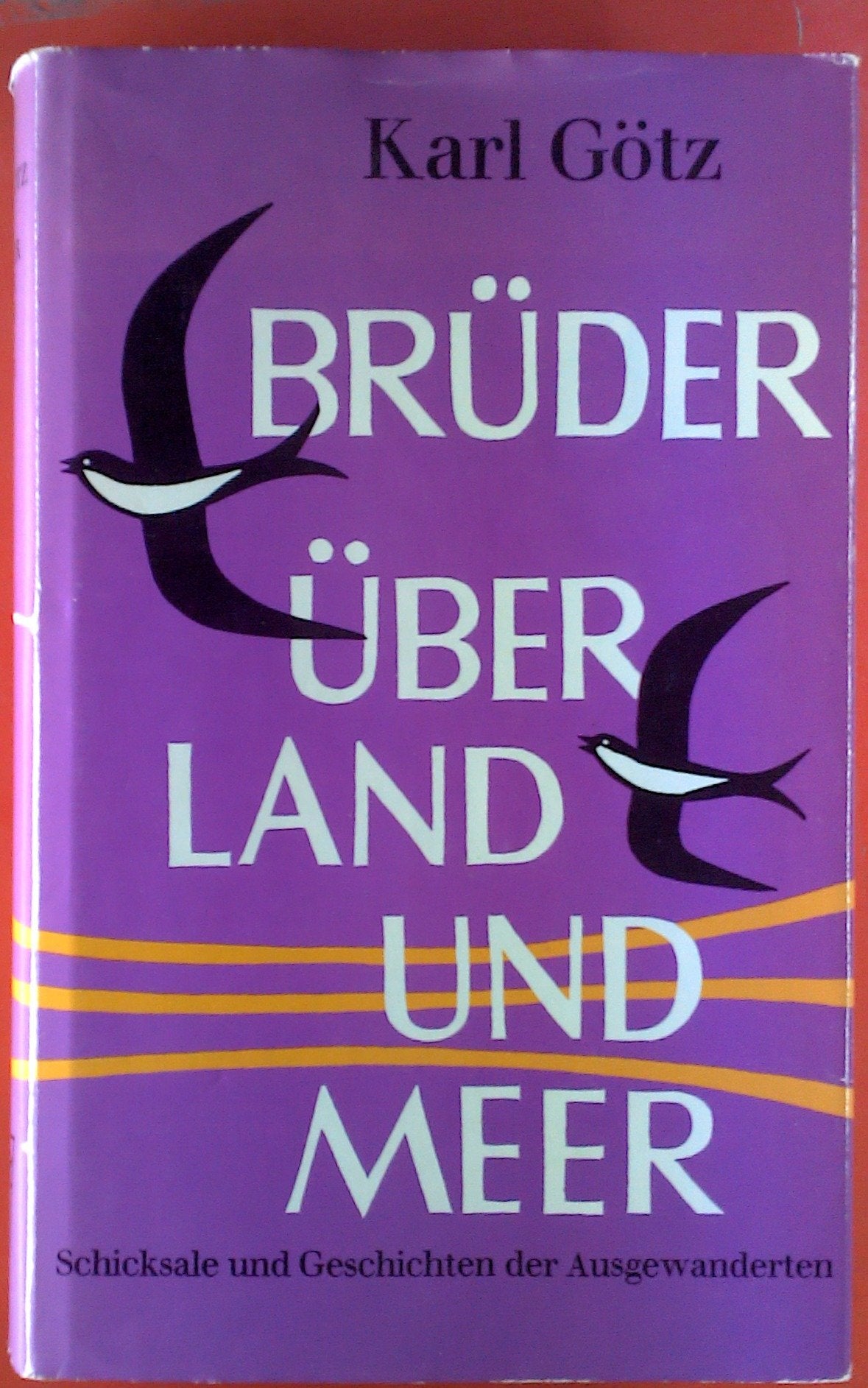Brüder über Land und Meer. Schicksale und Geschichten der Ausgewanderten Social Sciences