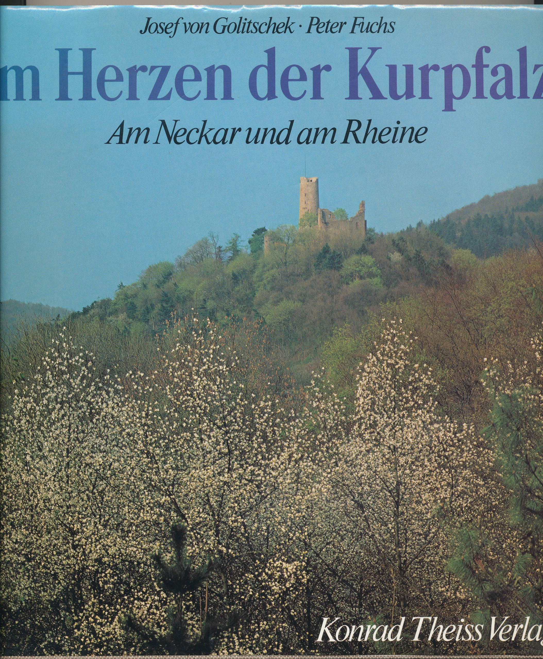 Im Herzen der Kurpfalz: Am Neckar und am Rheine Travel