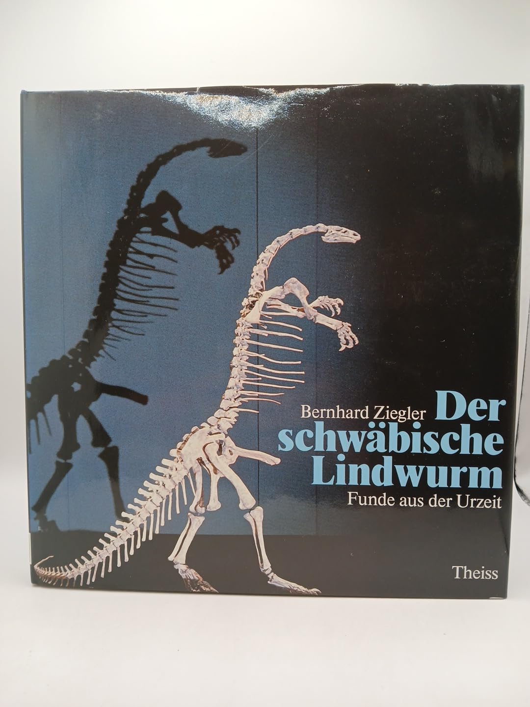 Der schwäbische Lindwurm: Funde aus der Urzeit Books