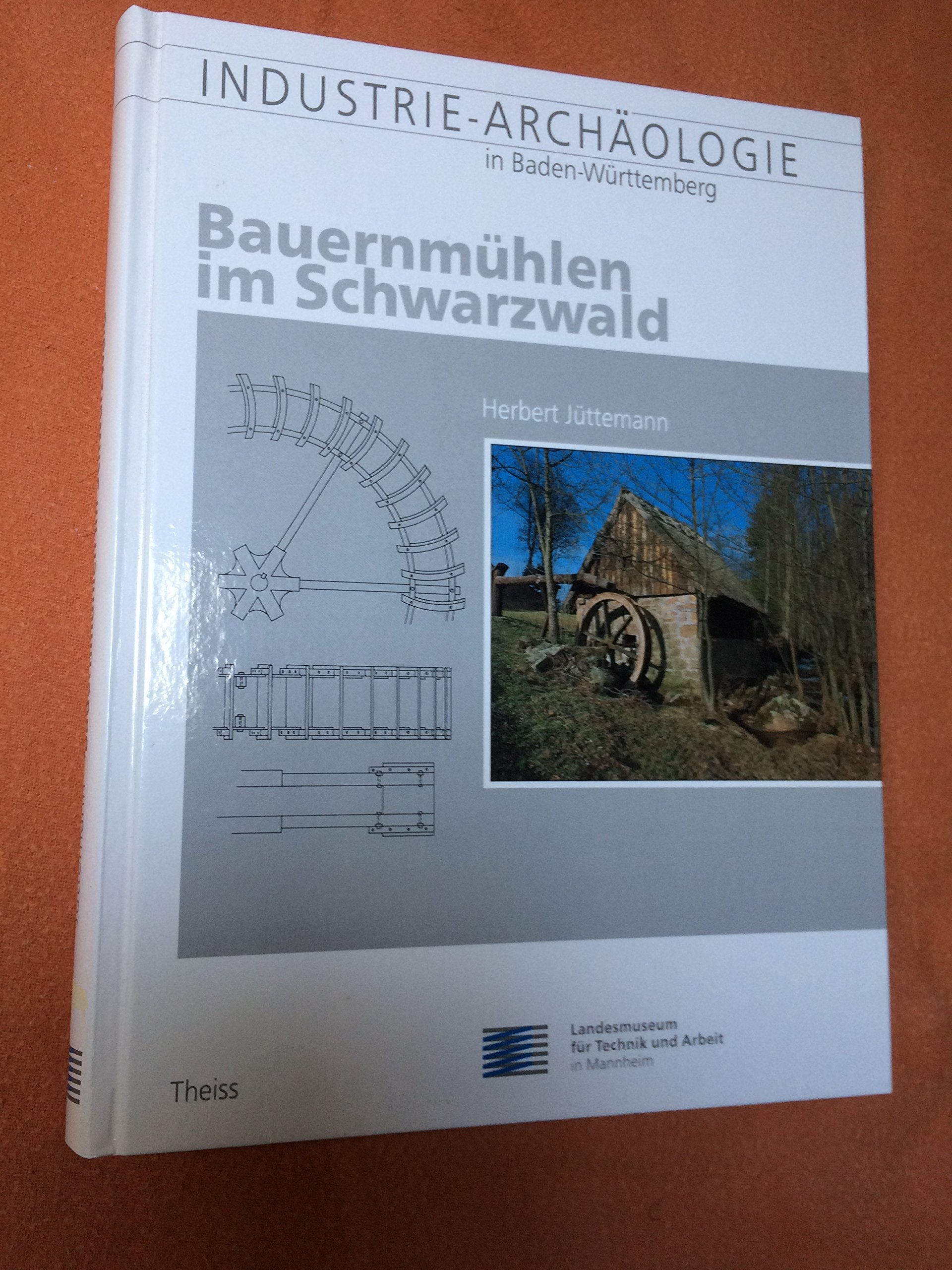 Bauernmühlen im Schwarzwald: Dokumentation und Restaurierung bäuerlicher Alltagstechnik (Industriearchäologie in Baden-Württemberg) Architecture