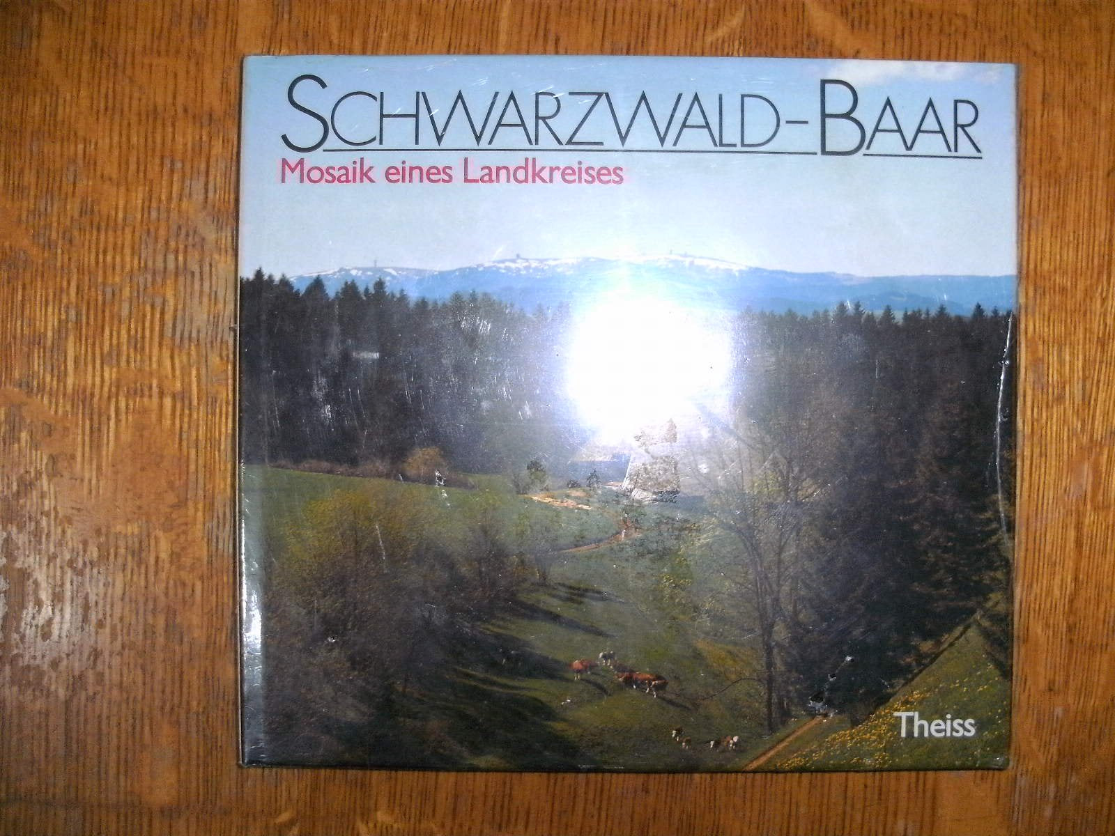 Schwarzwald-Baar: Mosaik eines Landkreises Books