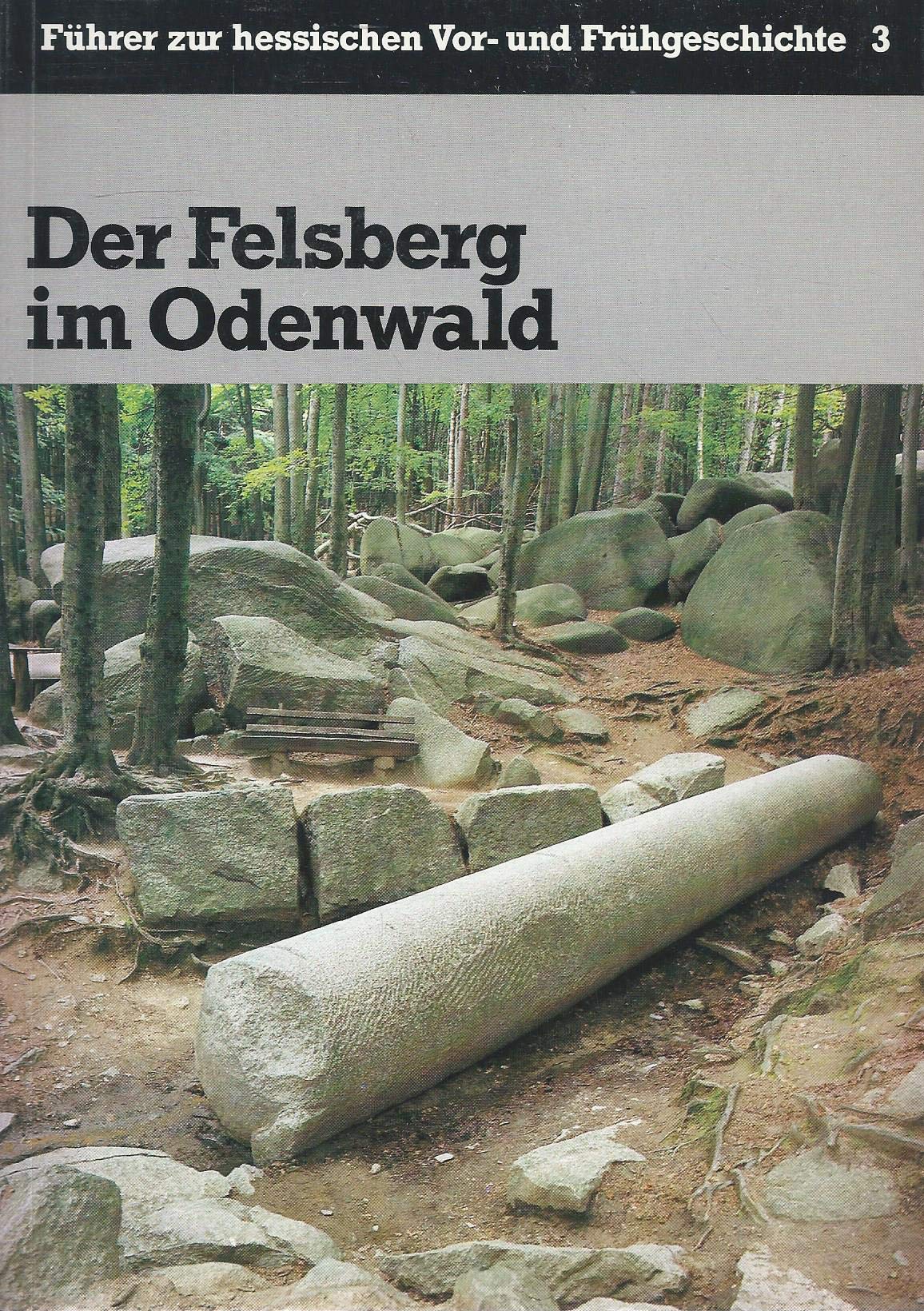 Der Felsberg im Odenwald (Führer zur hessischen Vor- und Frühgeschichte) Politics & History