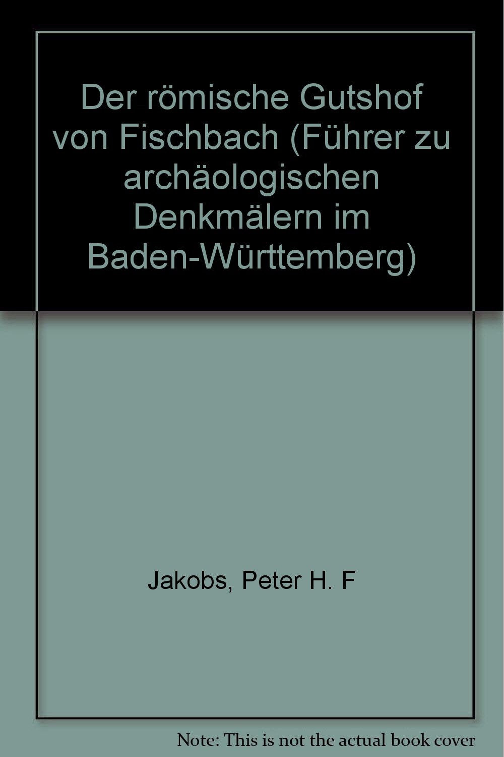 Der römische Gutshof von Fischbach (Führer zu archäologischen Denkmälern in Baden-Württemberg) Politics & History