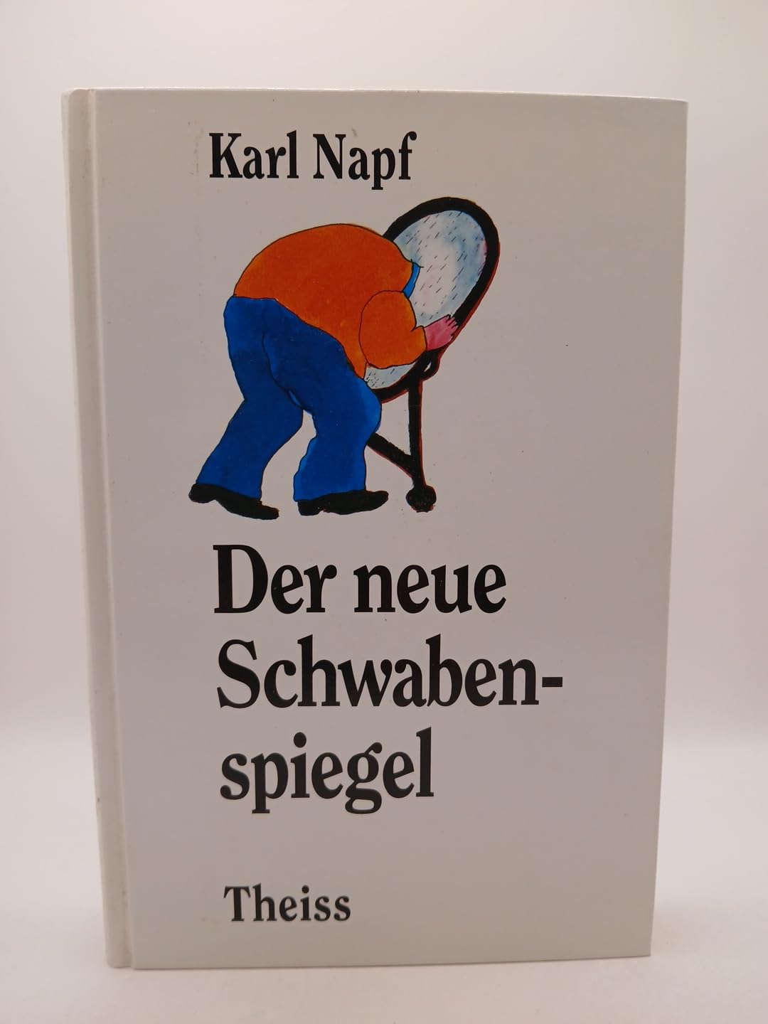Der neue Schwabenspiegel Essays & Short Stories