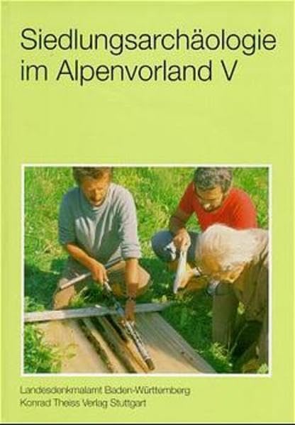Siedlungsarchäologie im Alpenvorland, Bd.5 (Forschungen und Berichte zur Vor- und Frühgeschichte in Baden-Württemberg) Politics & History