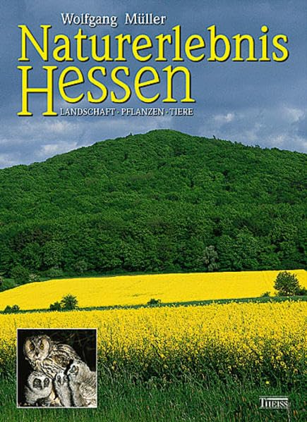 Naturerlebnis Hessen: Landschaft - Pflanzen - Tiere Leisure, Home & Garden