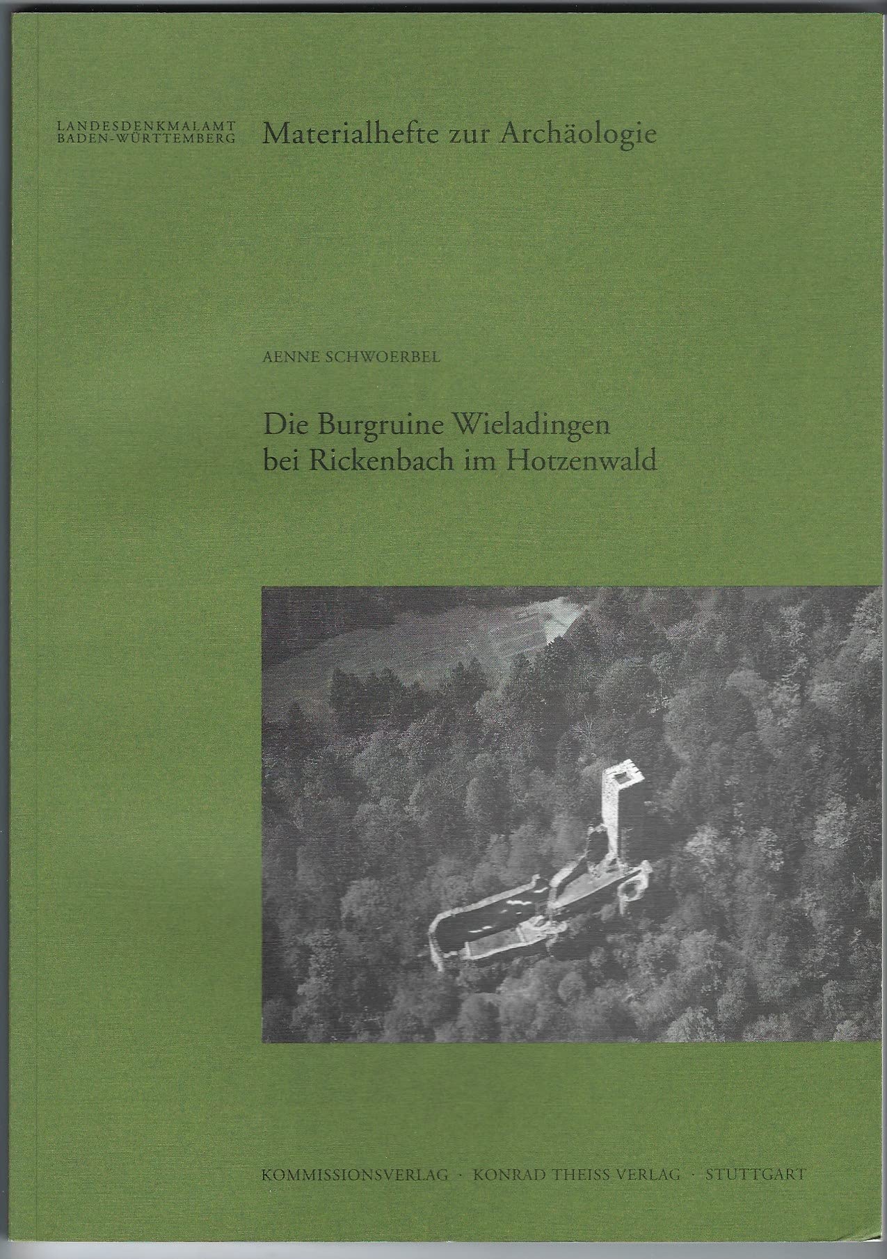 Die Burgruine Wieladingen bei Rickenbach im Hotzenwald (Materialhefte zur Archäologie in Baden-Württemberg: Früher: Materialhefte zur Vor- und Frühgeschichte in Baden-Württemberg (bis Band 19)) Natural Sciences